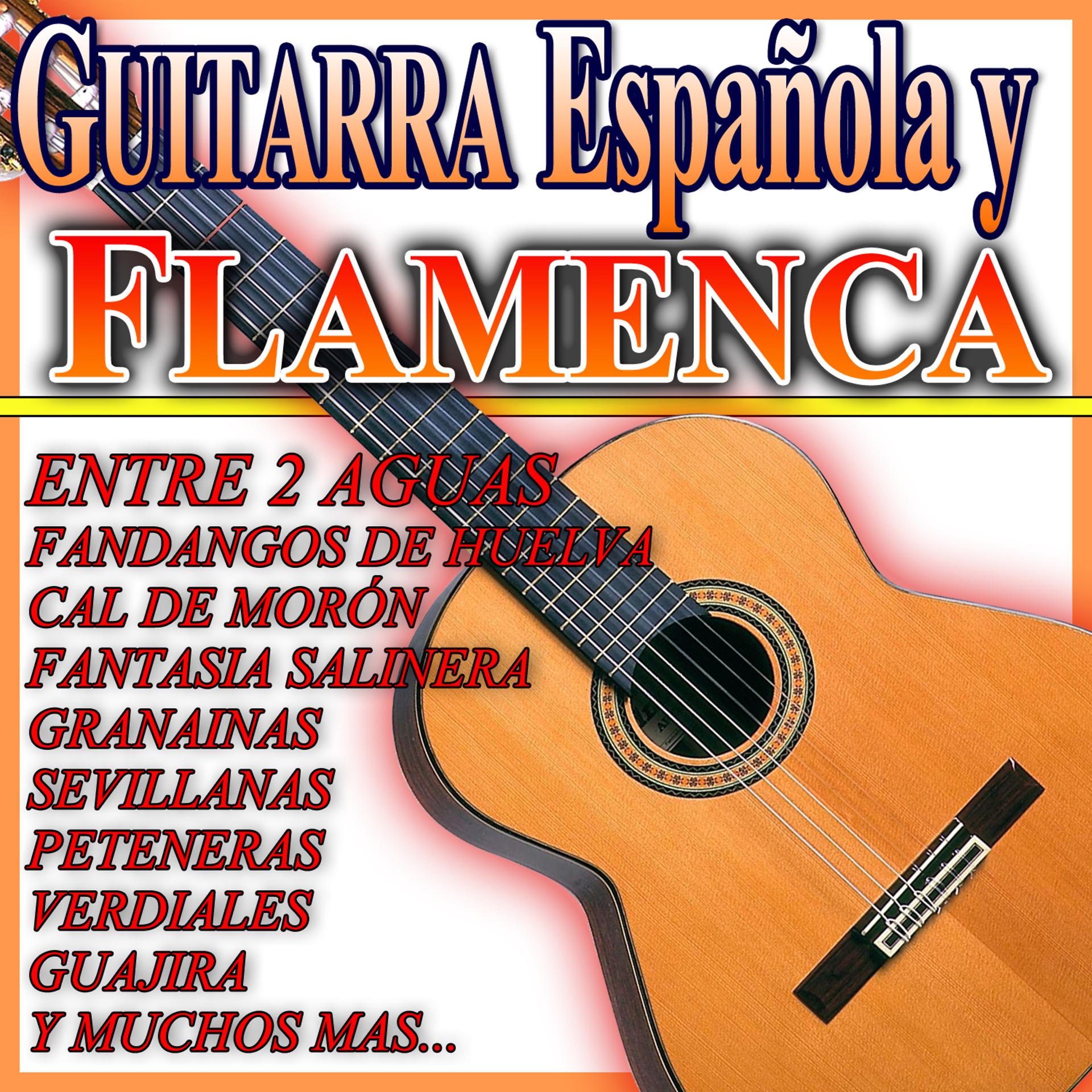 Постер альбома Guitarra Española y Flamenca