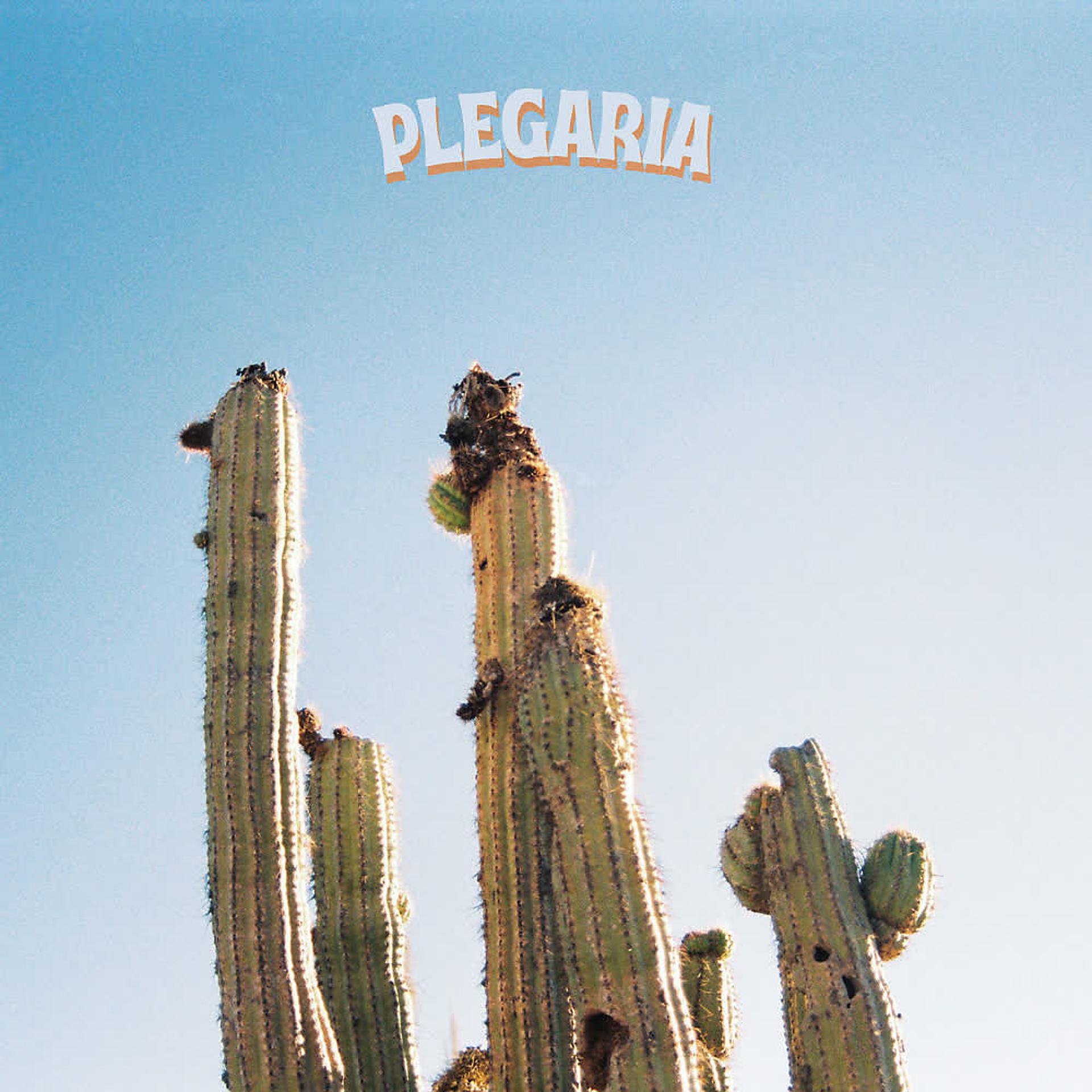 Постер альбома Plegaria