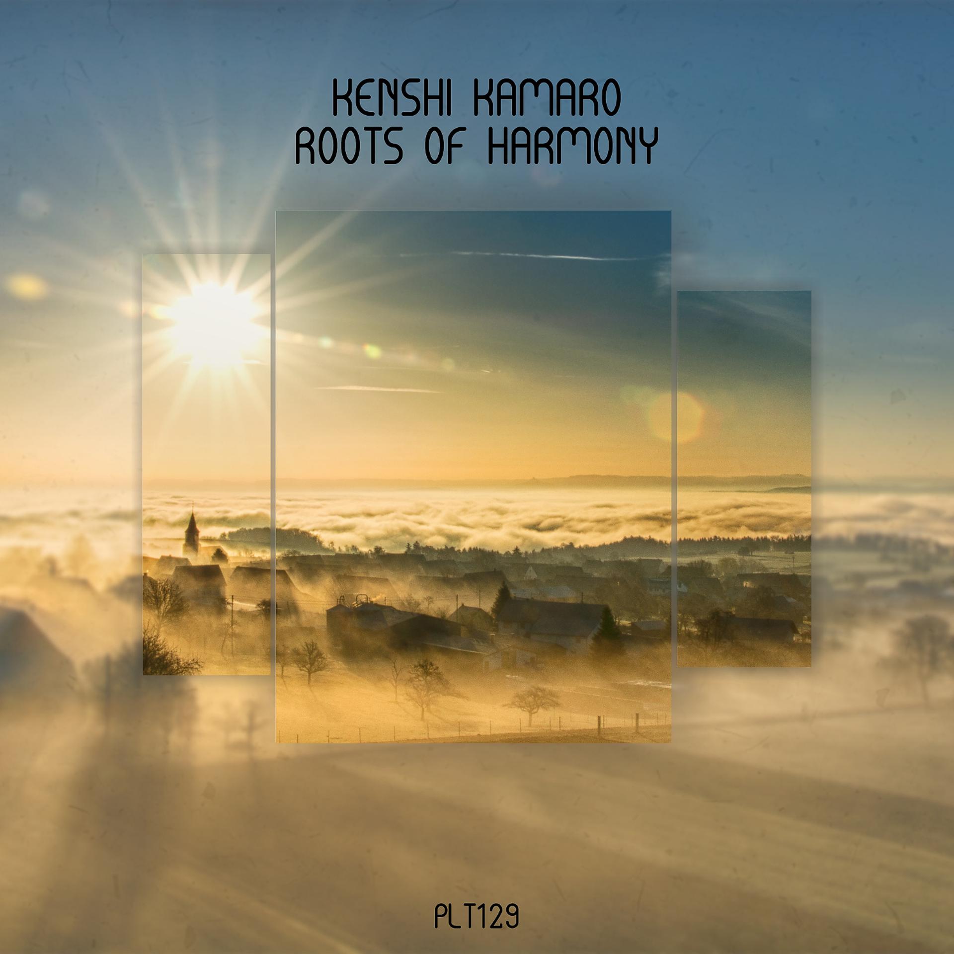 Постер альбома Roots of Harmony