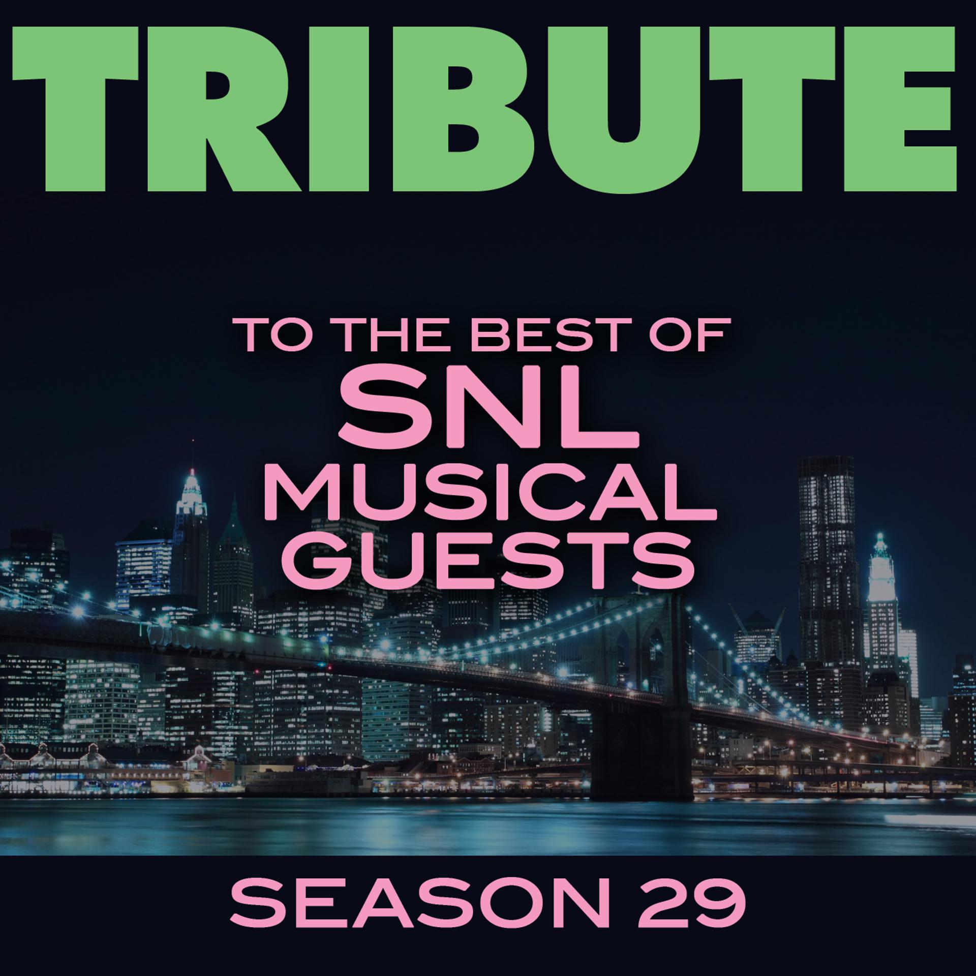 Постер альбома Tribute to the Best of SNL Musical Guests Season 29