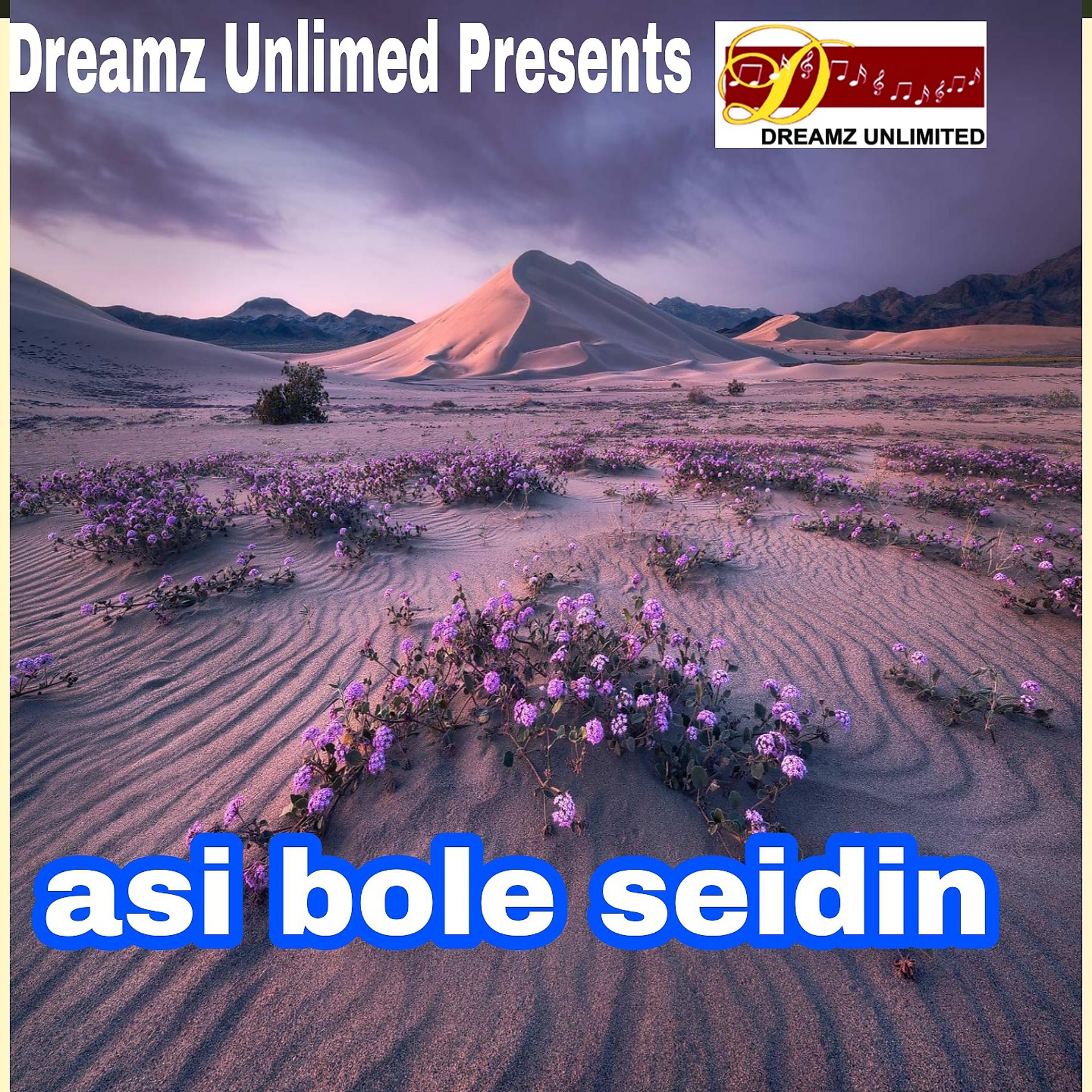 Постер альбома Asi Bole Sei Din