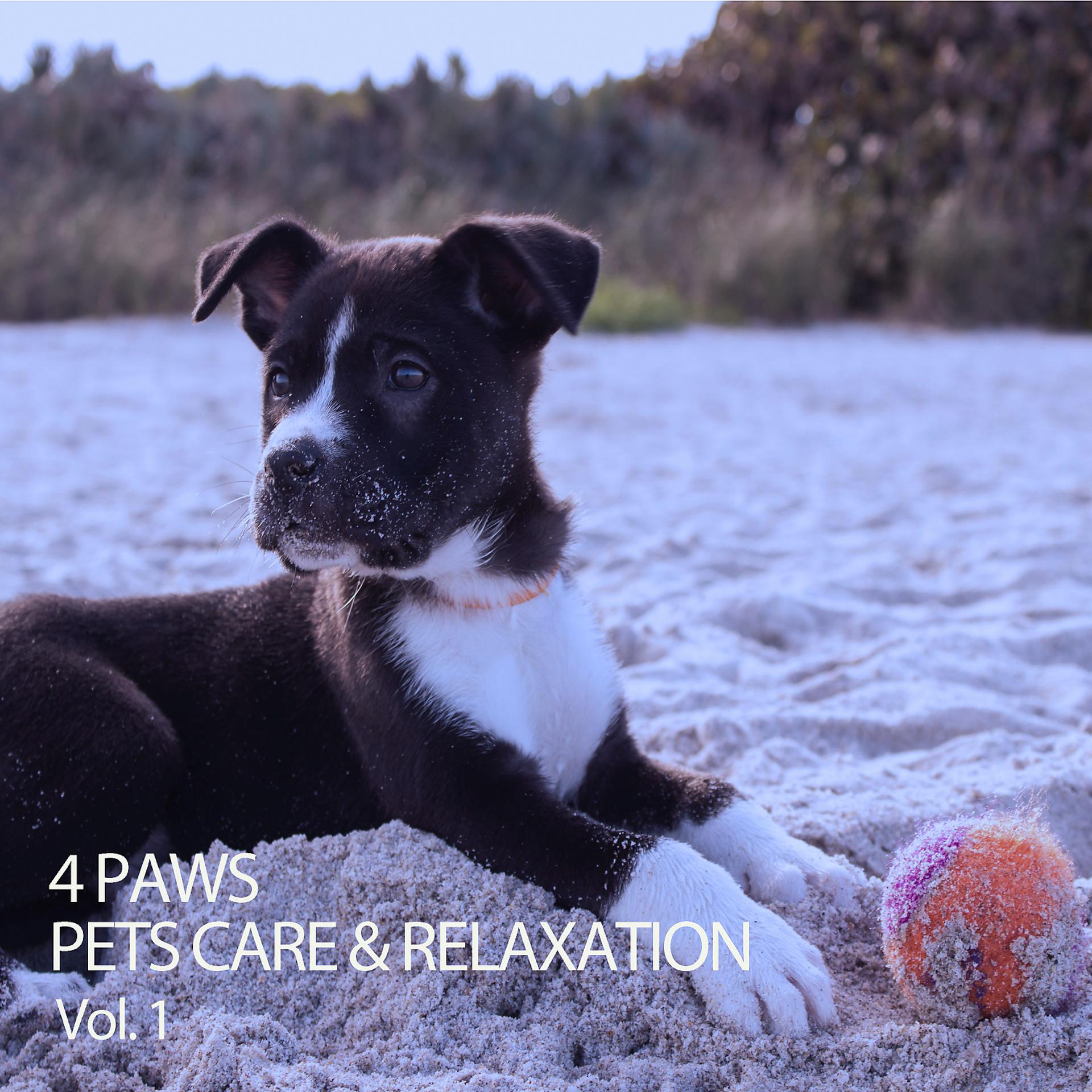 Постер альбома 4 Paws: Pets Care & Relaxation Vol. 1