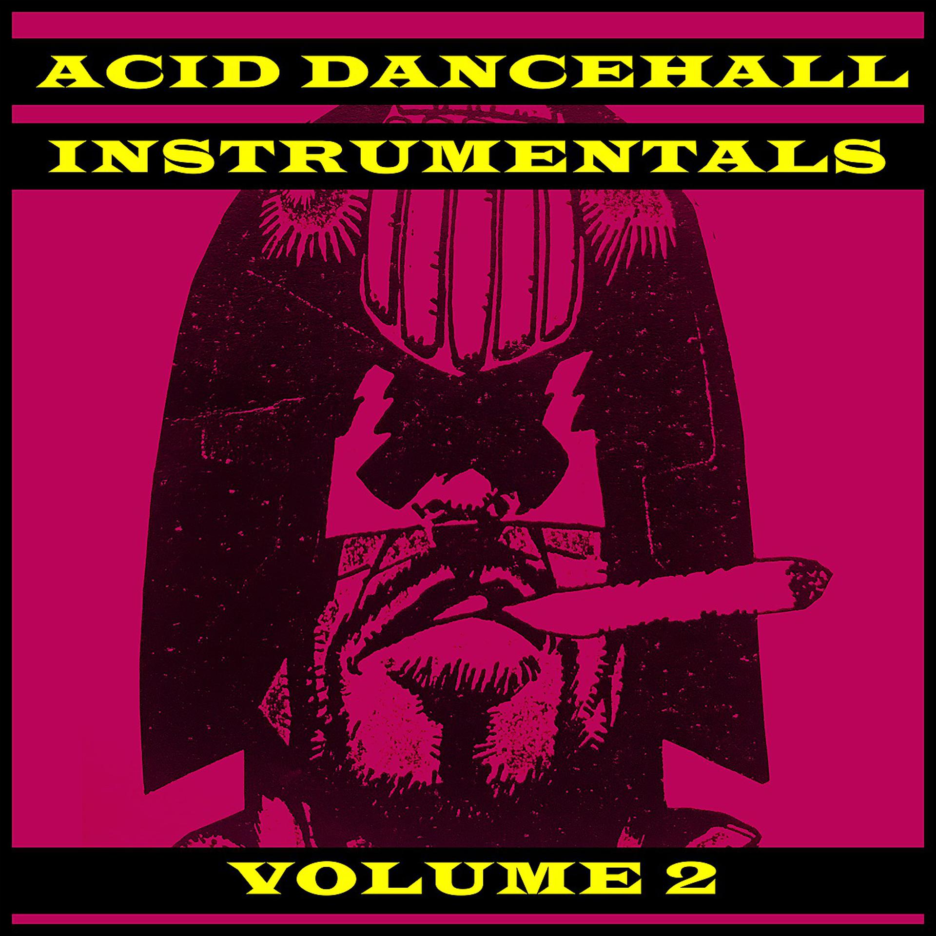 Постер альбома Acid Dancehall Instrumentals Vol.2