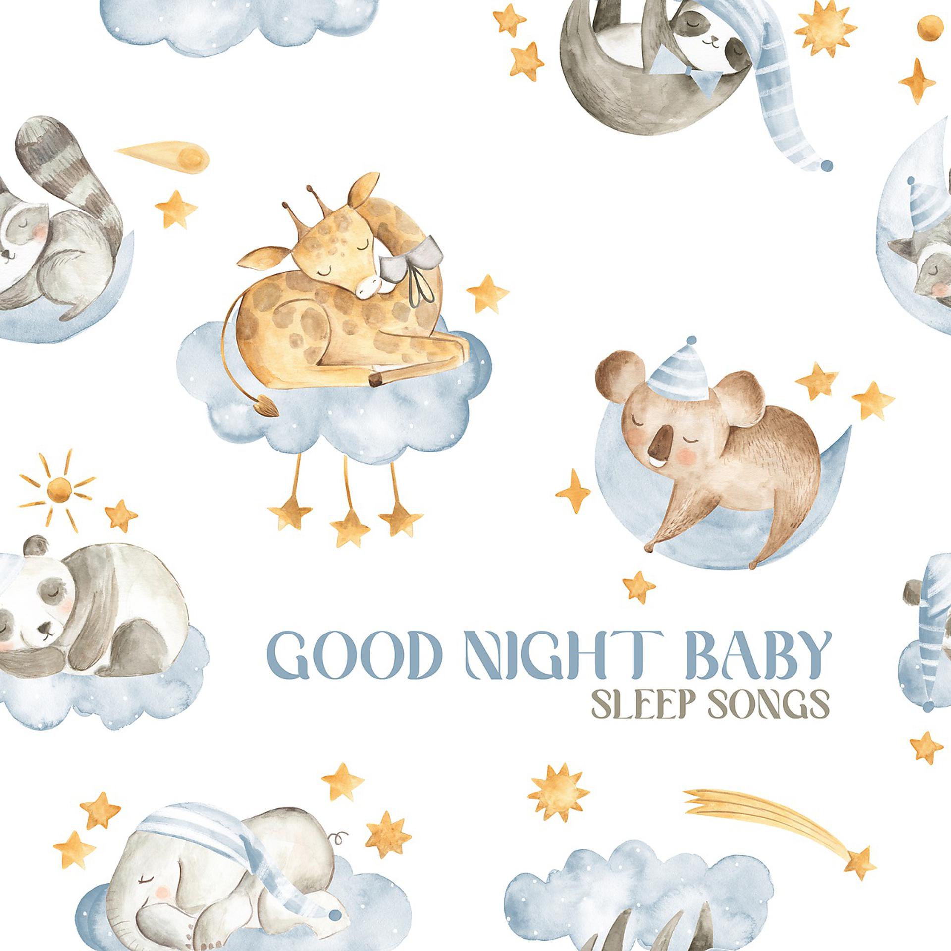 Постер альбома Good Night Baby Sleep Songs