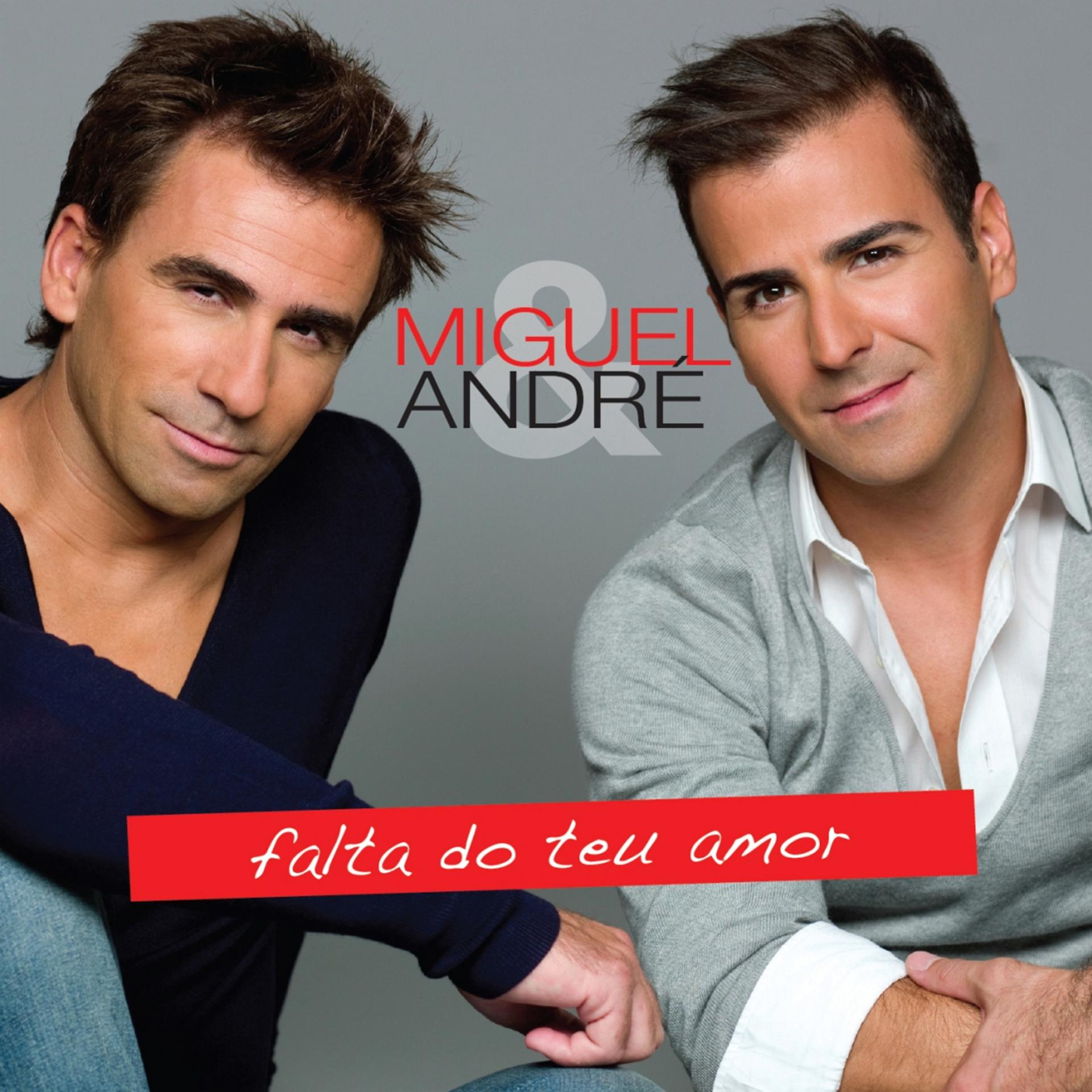 Постер альбома Falta do Teu Amor
