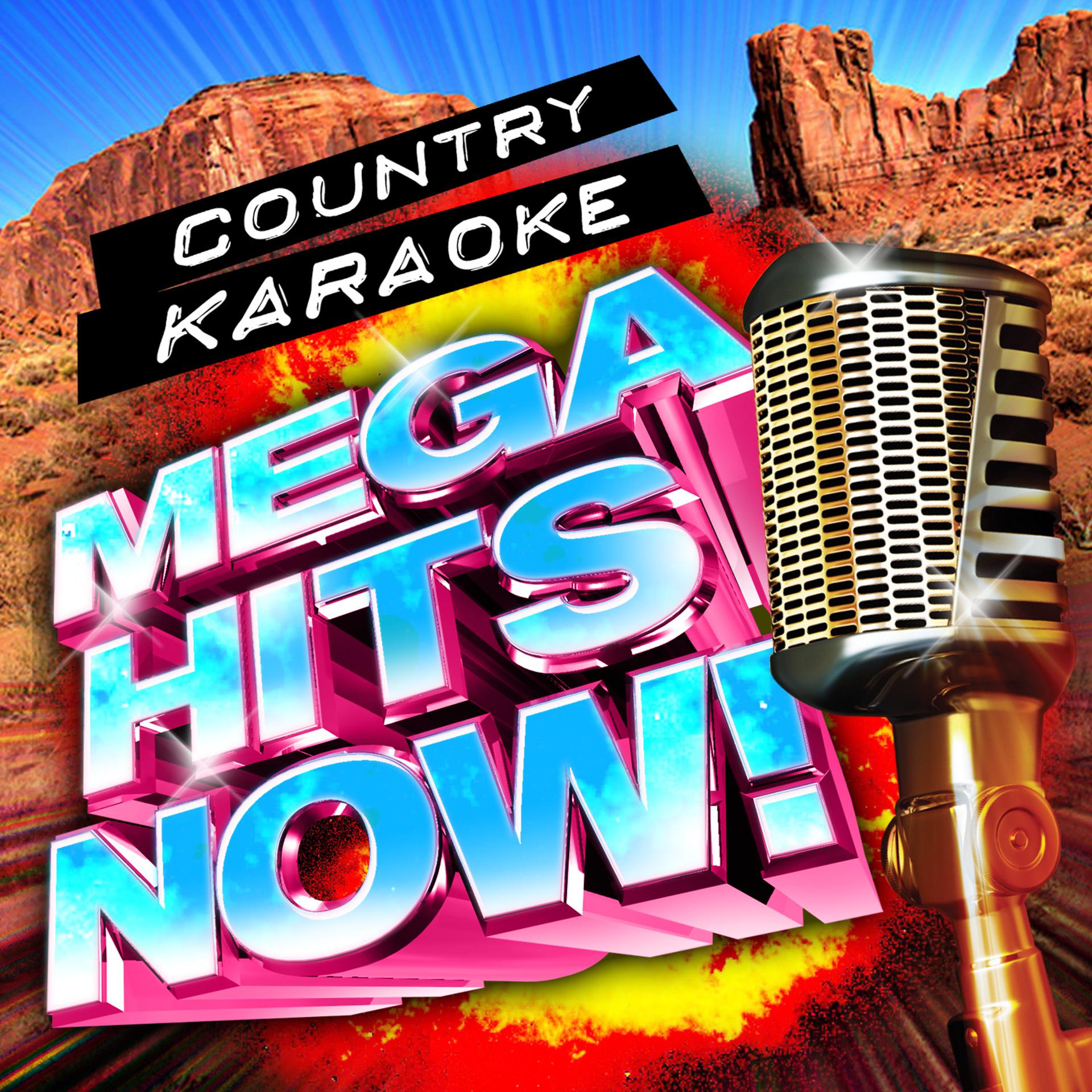 Постер альбома Country Karaoke Mega Hits Now!