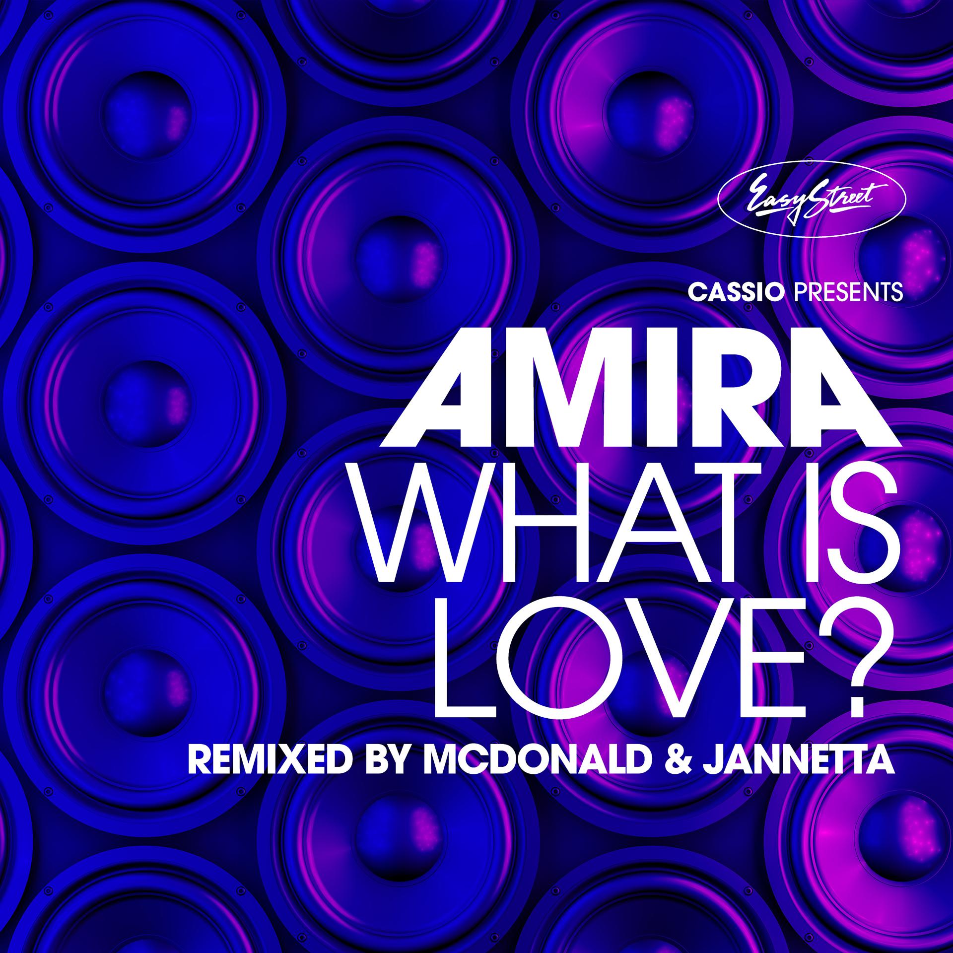 Постер альбома What is Love? (Mcdonald & Jannetta Remixes)