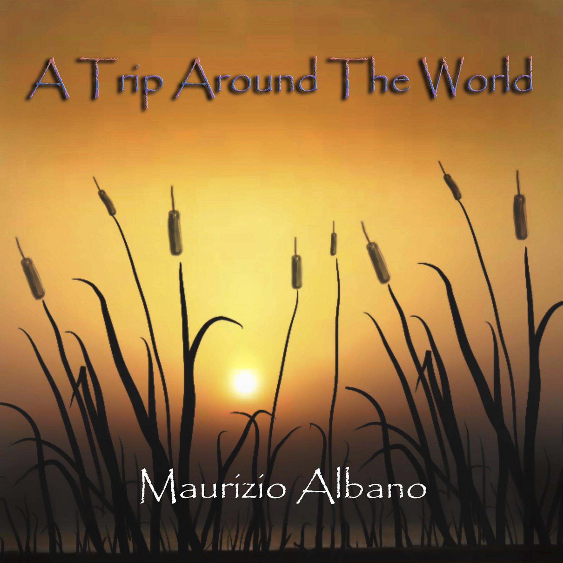 Постер альбома A Trip Around the World