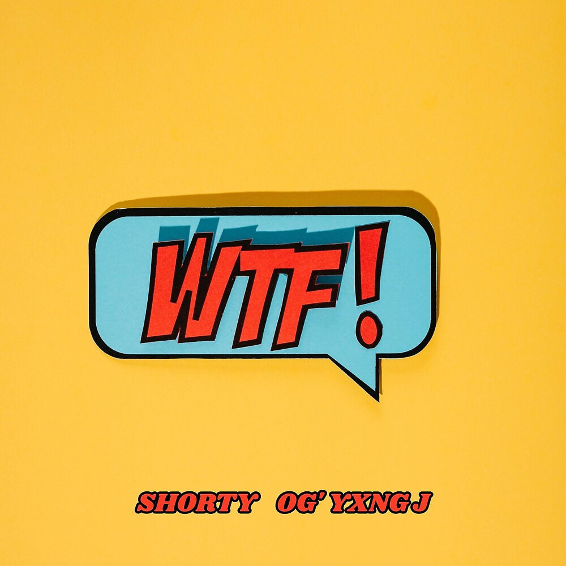 Постер альбома WTF!
