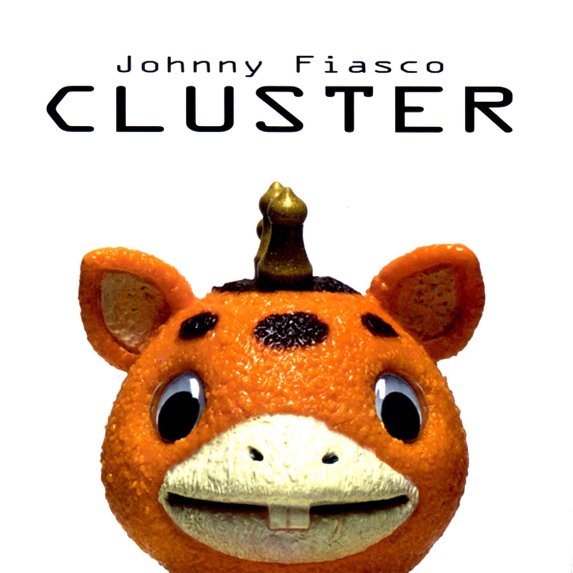 Постер альбома Johnny Fiasco: Cluster