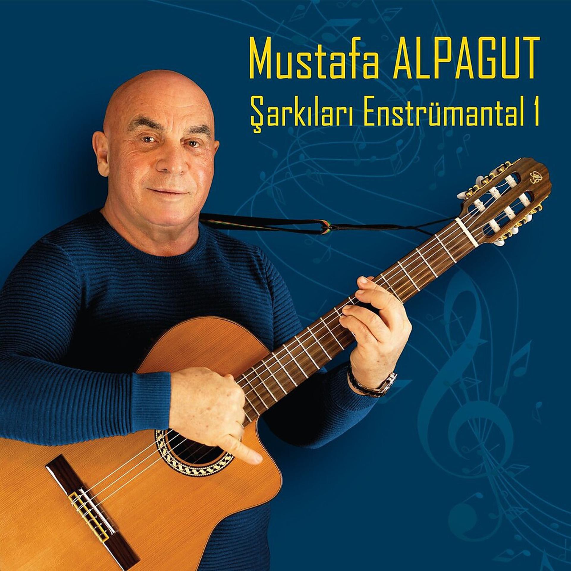Постер альбома Mustafa Alpagut Şarkıları Enstrümantal 1