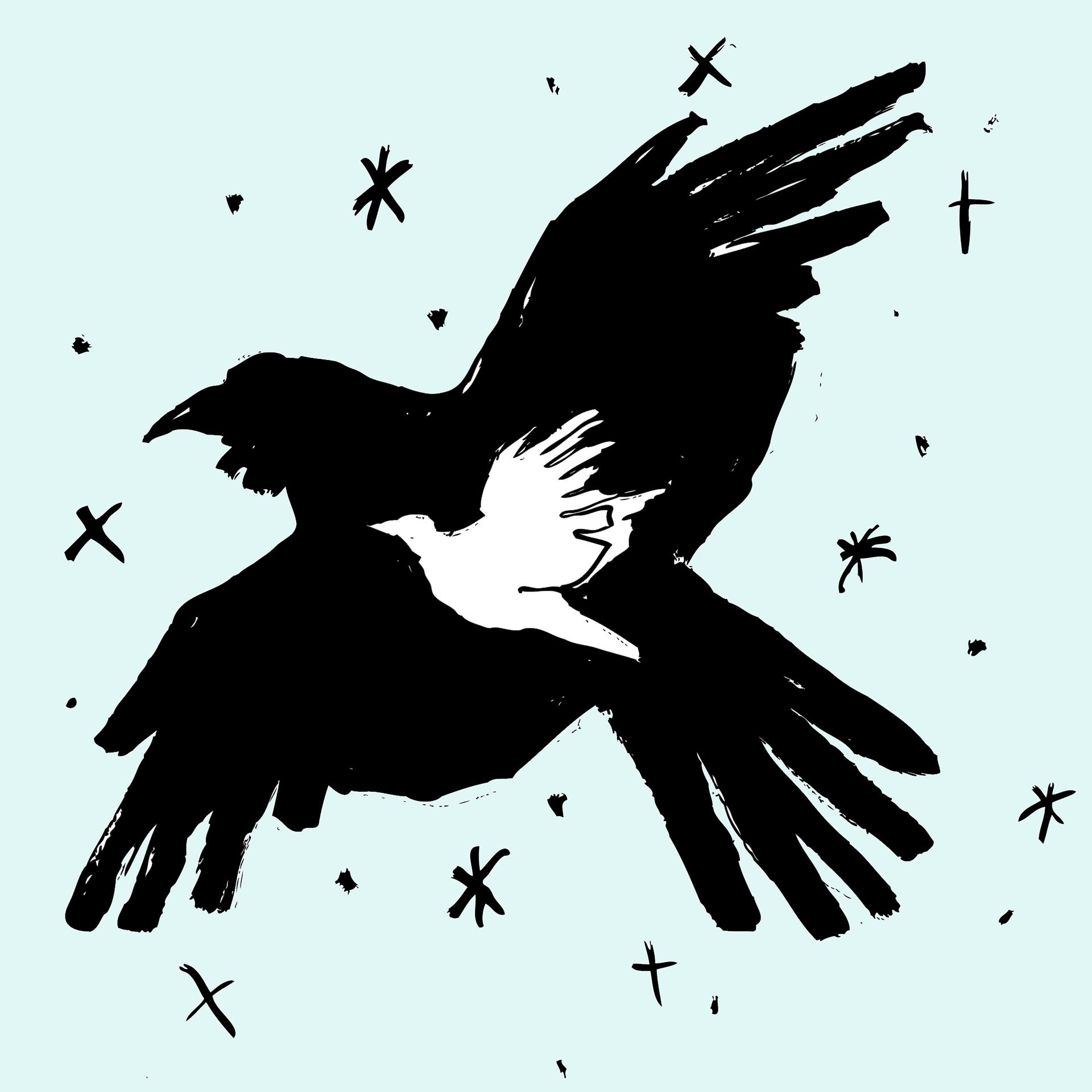 Постер альбома Ravens and the Wrens
