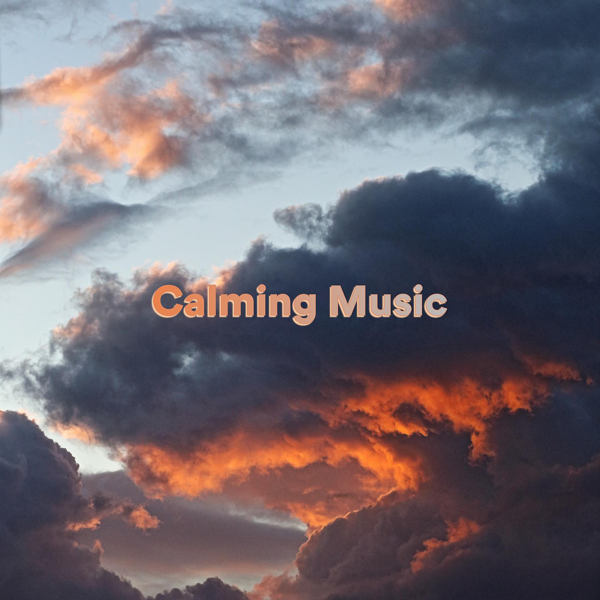 Постер альбома Calming Music