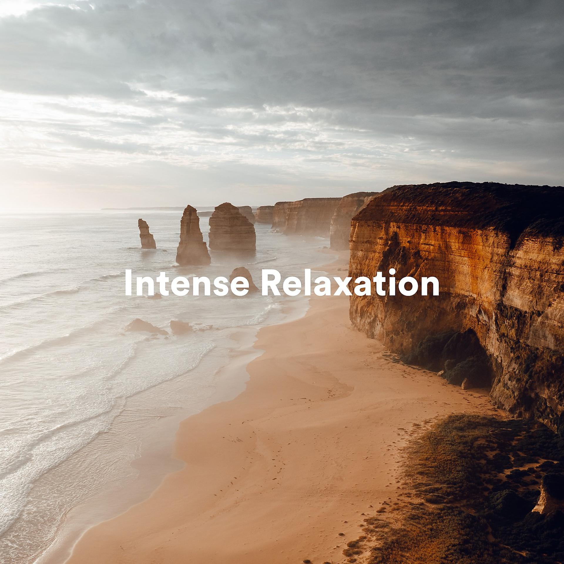 Постер альбома Intense Relaxation
