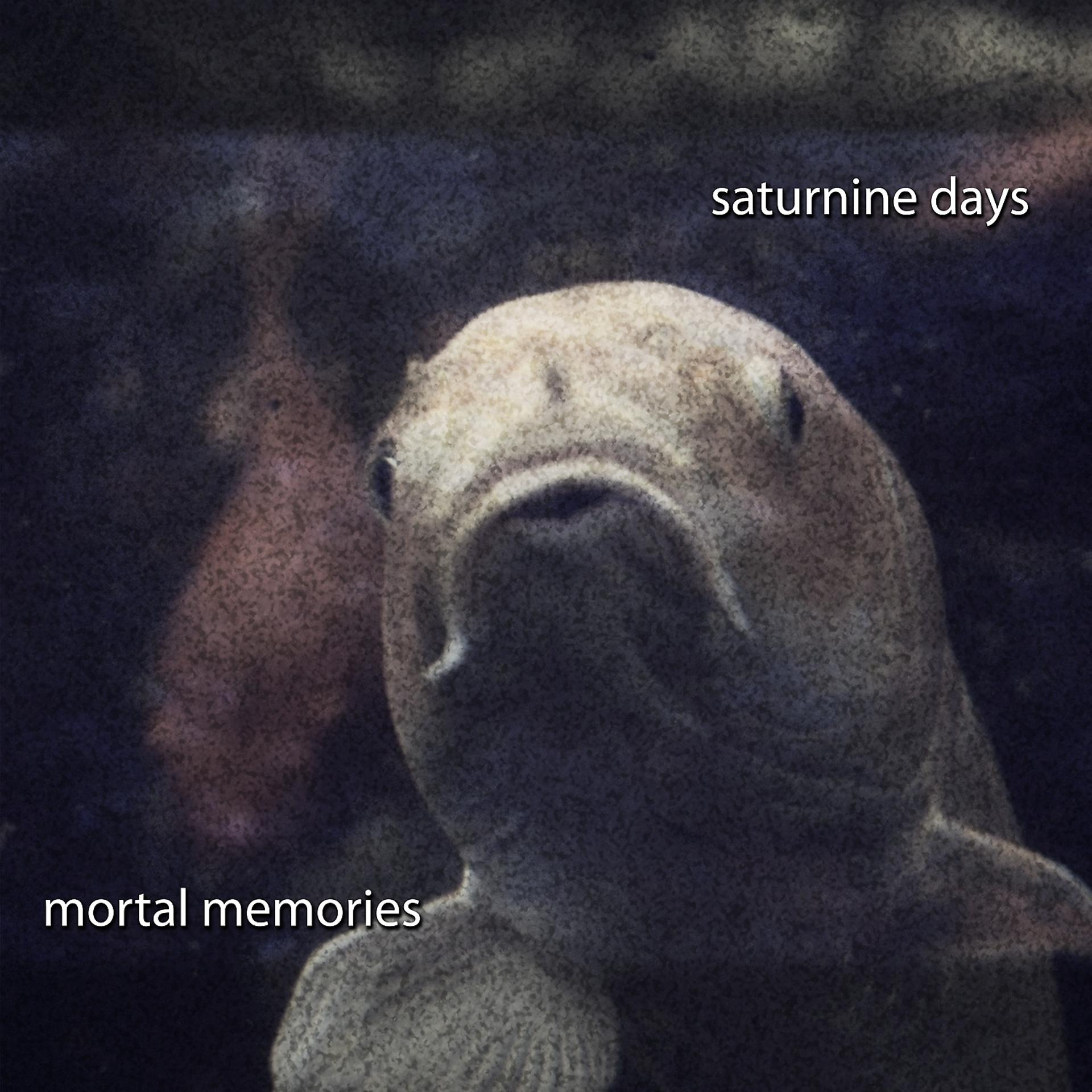 Постер альбома Saturnine Days