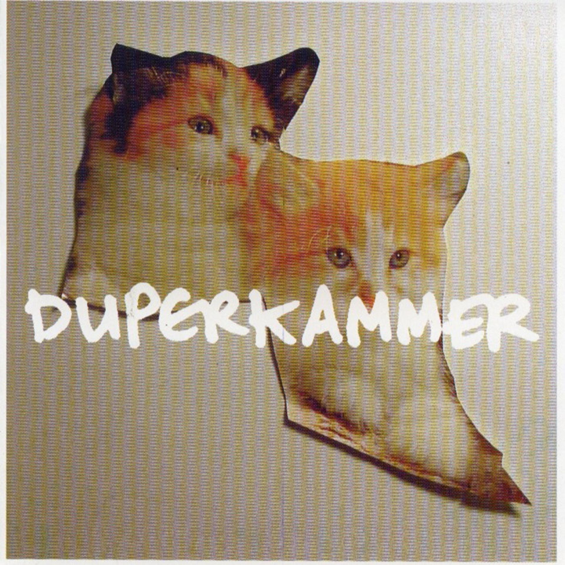 Постер альбома Duperkammer
