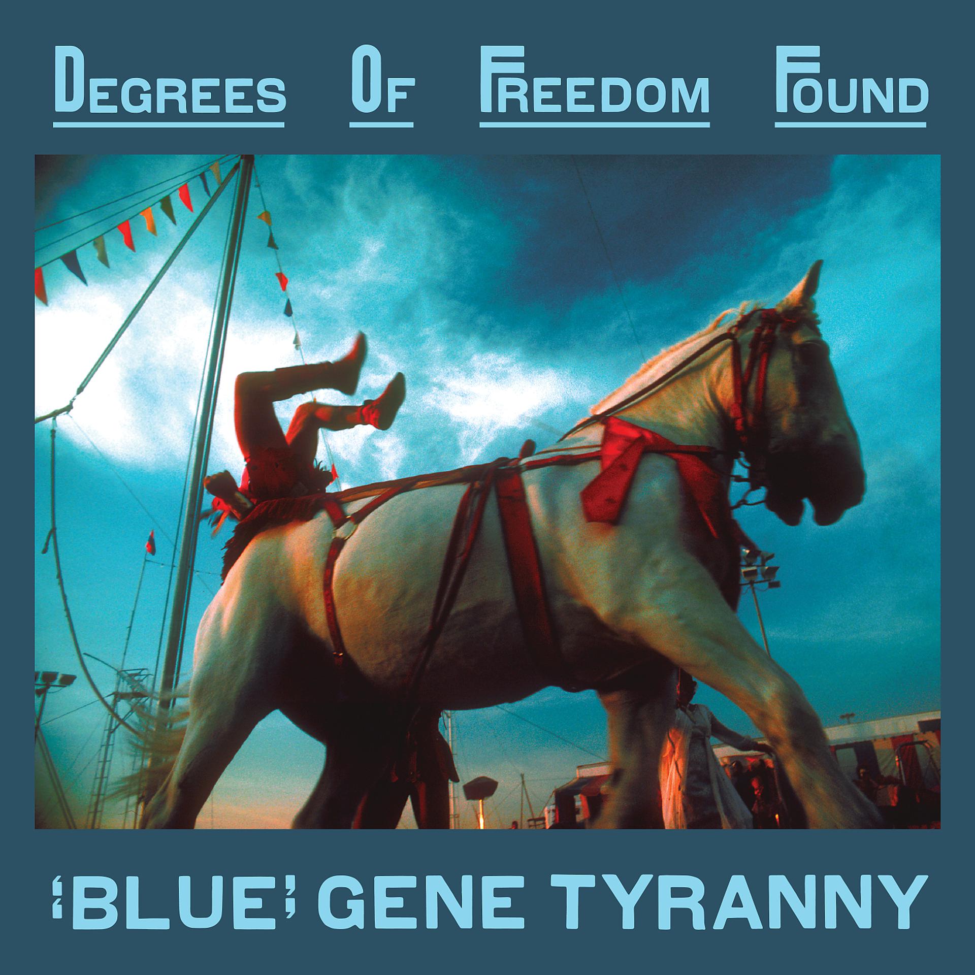 Постер альбома Degrees Of Freedom Found