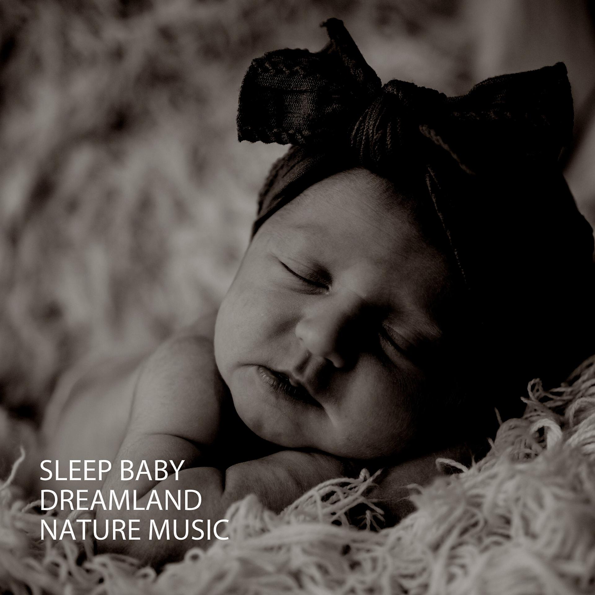 Постер альбома Sleep Baby: Dreamland Nature Music