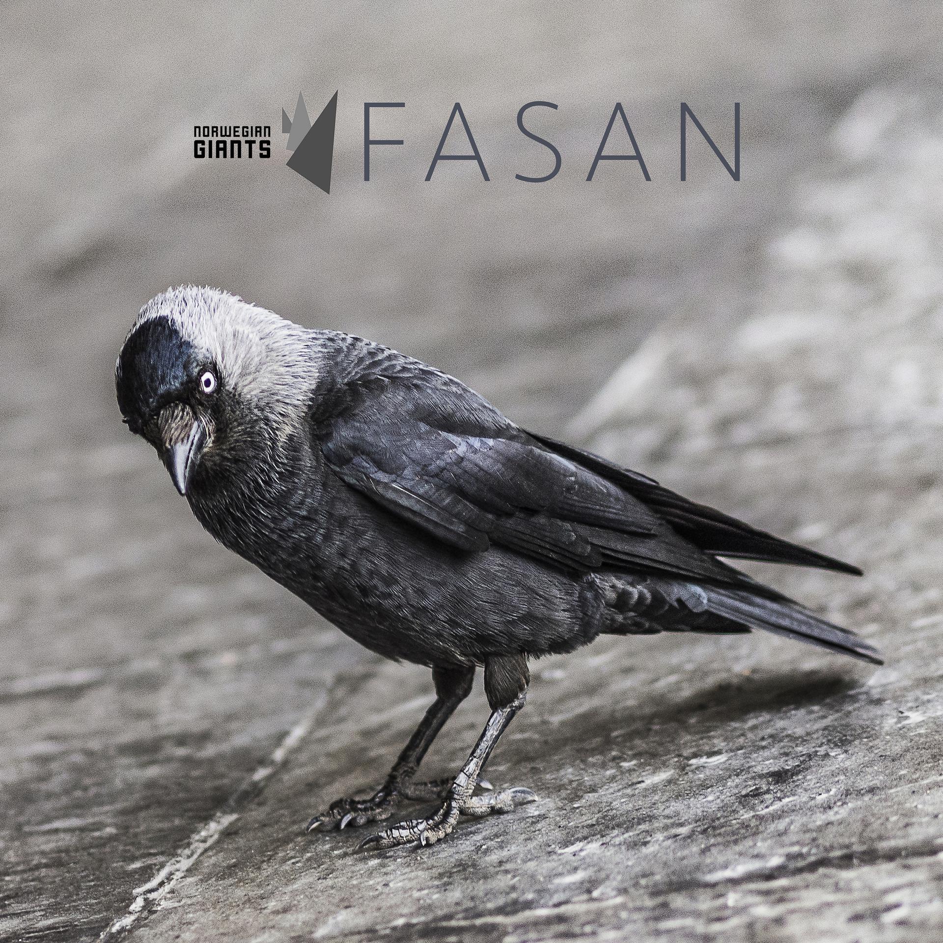Постер альбома Fasan