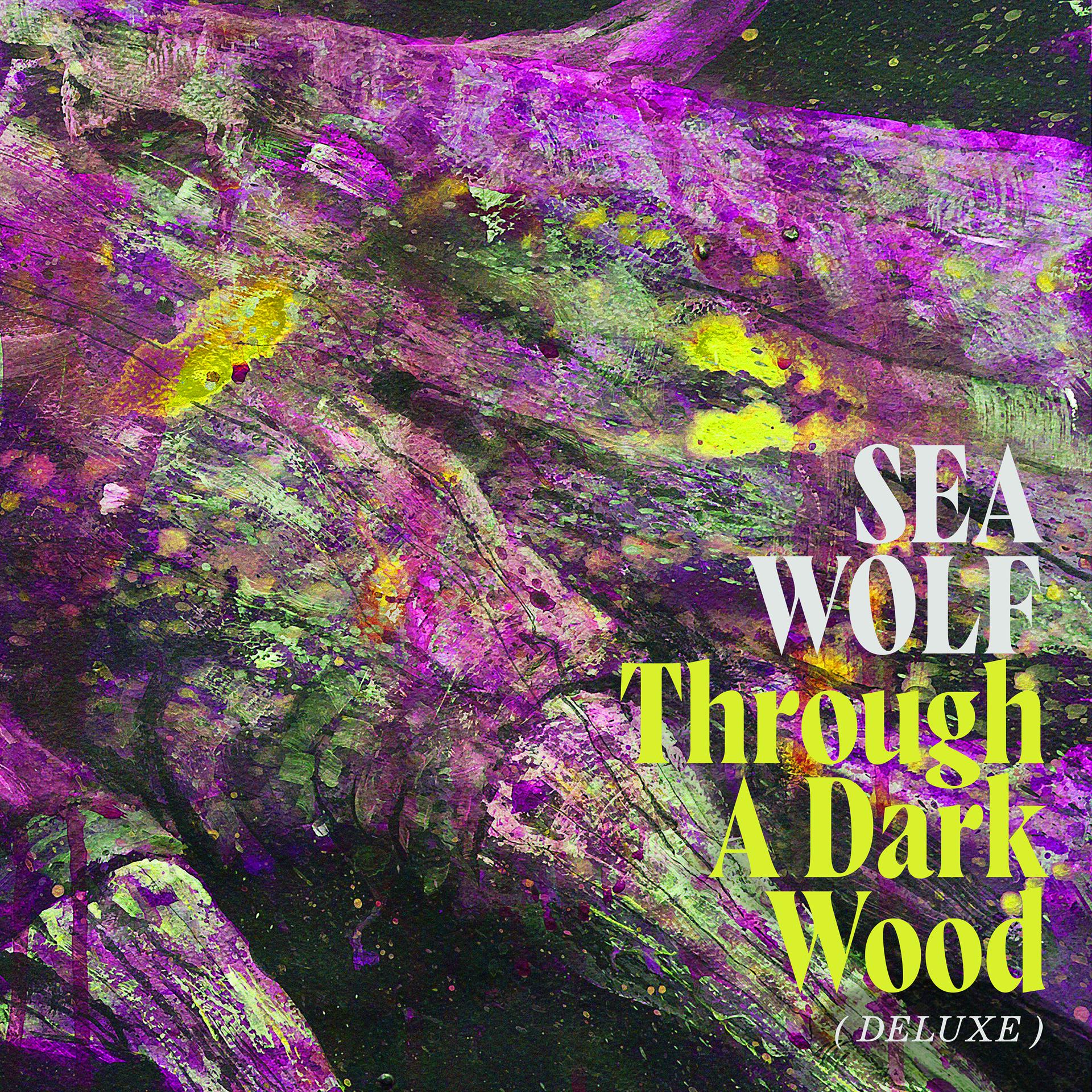 Постер альбома Through A Dark Wood (Deluxe)