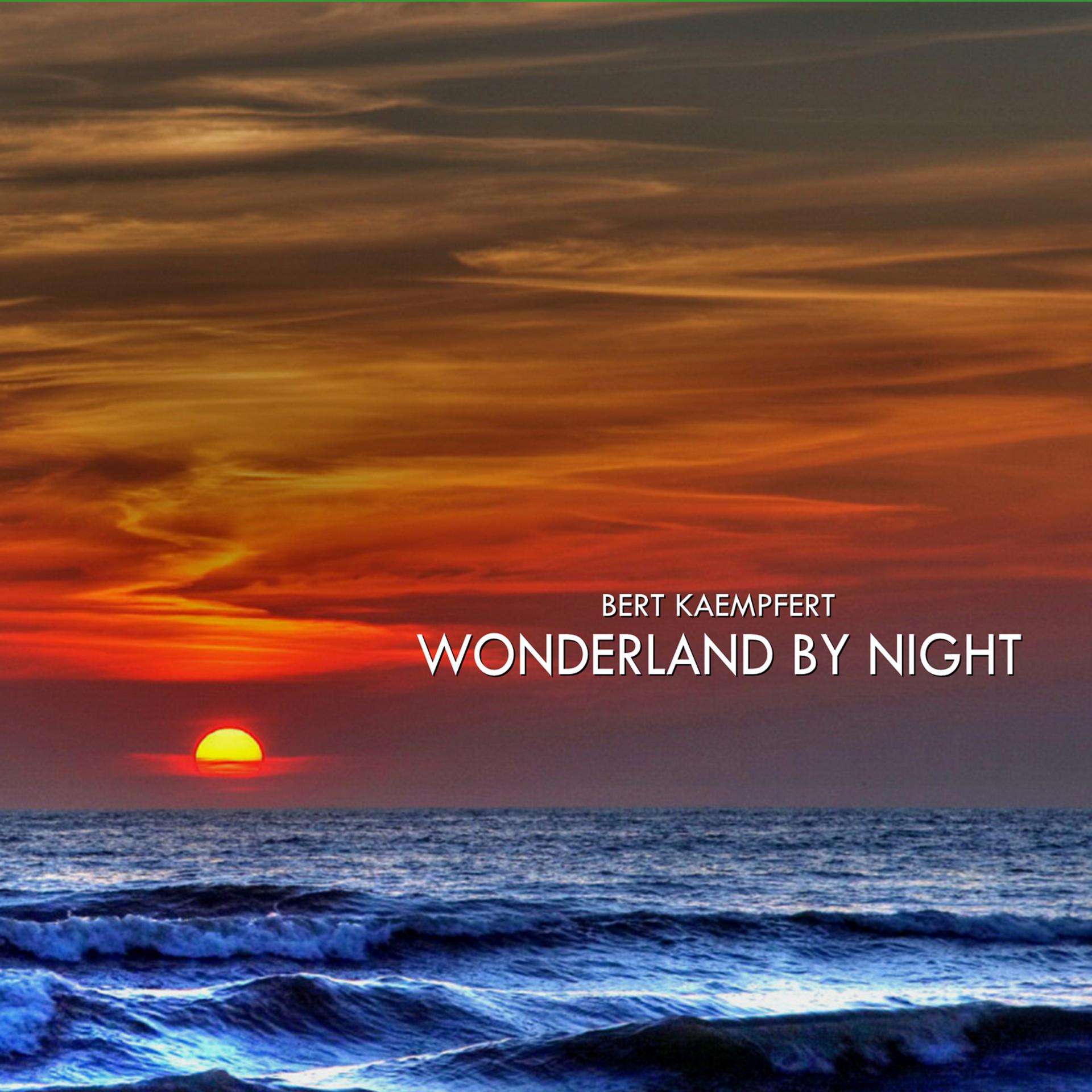 Постер альбома Bert Kaempfert Wonderland By Night