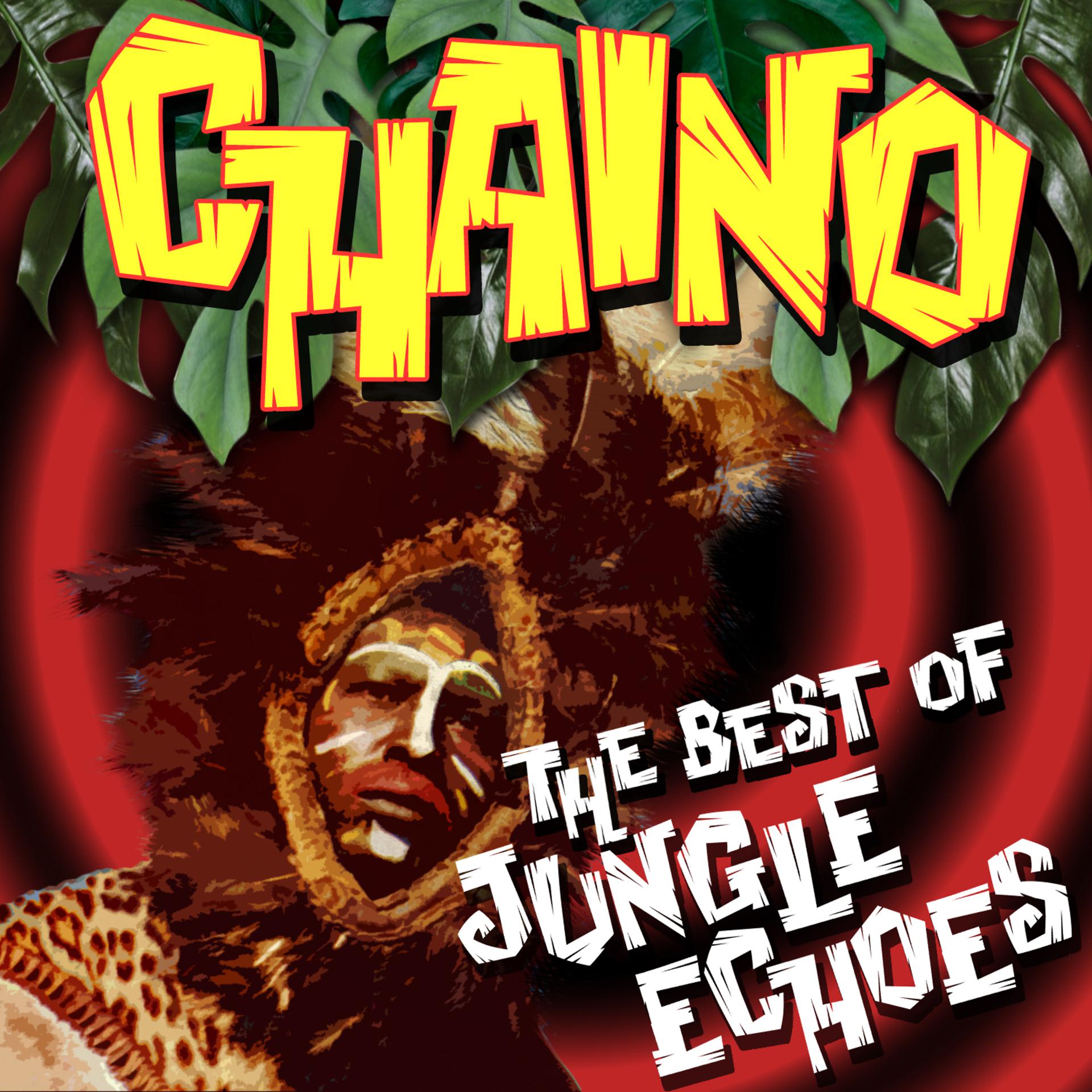 Постер альбома Jungle Echoes - The Best Of