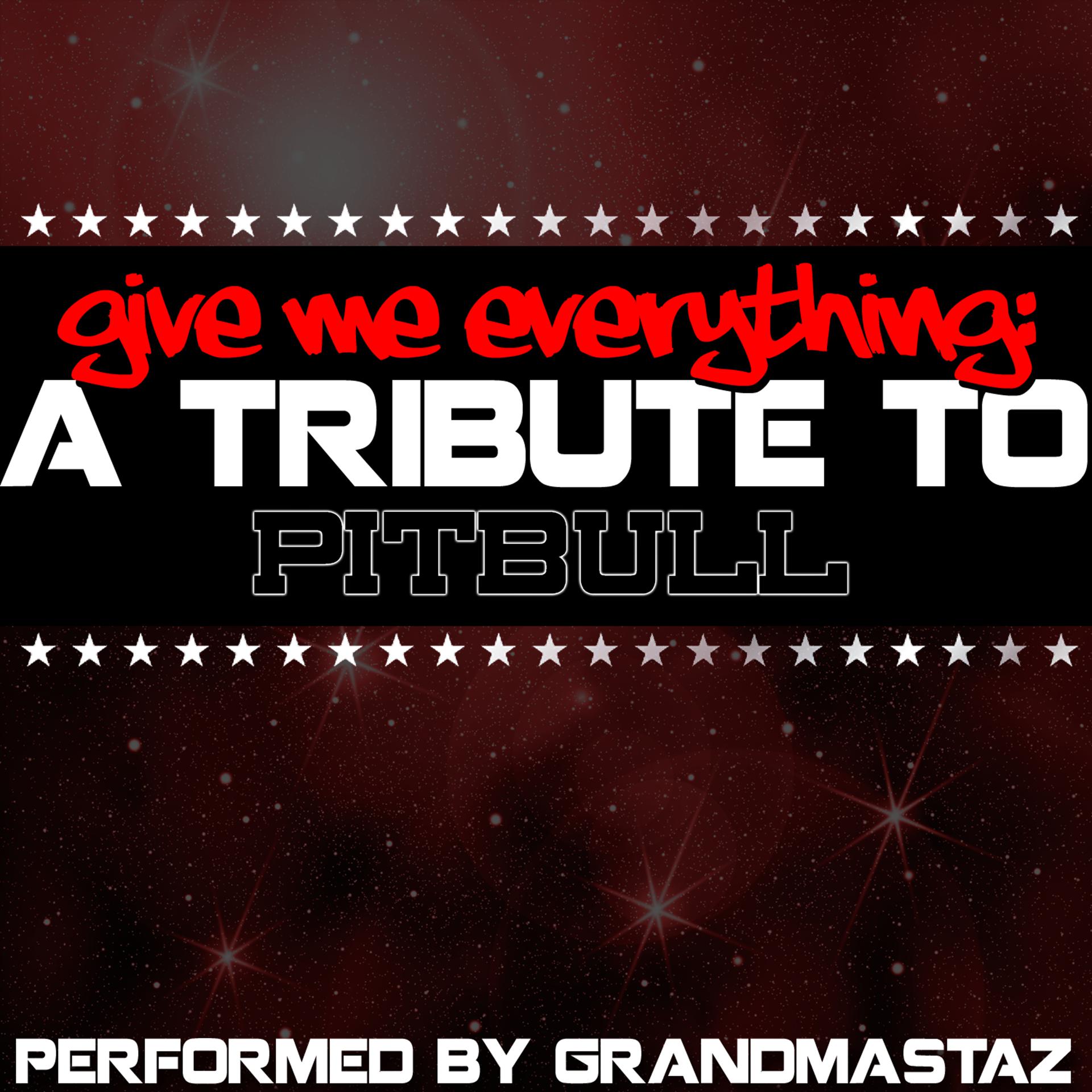 Постер альбома Give Me Everything: A Tribute to Pitbull