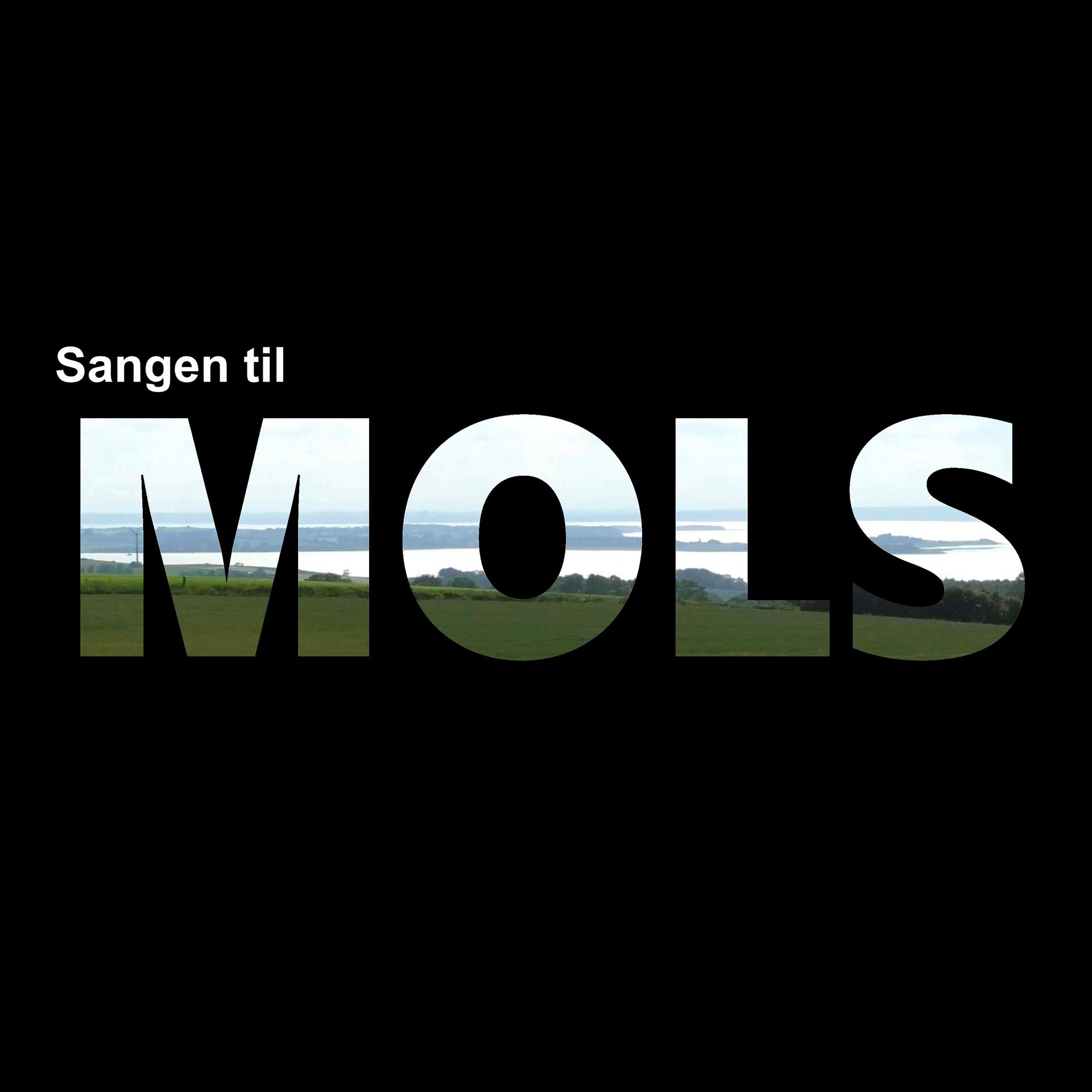 Постер альбома Sangen Til Mols