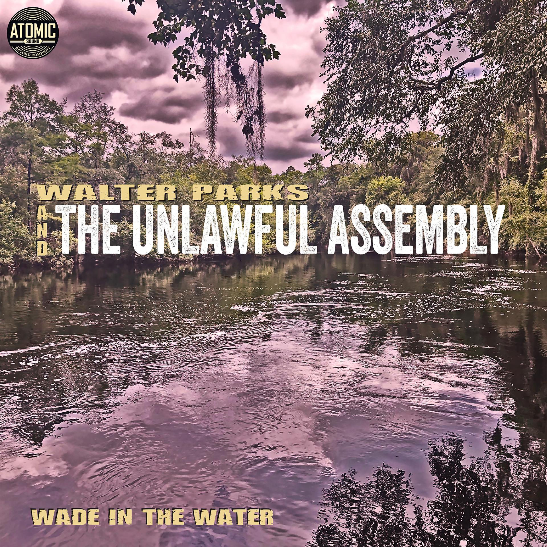 Постер альбома Wade in the Water (Single)