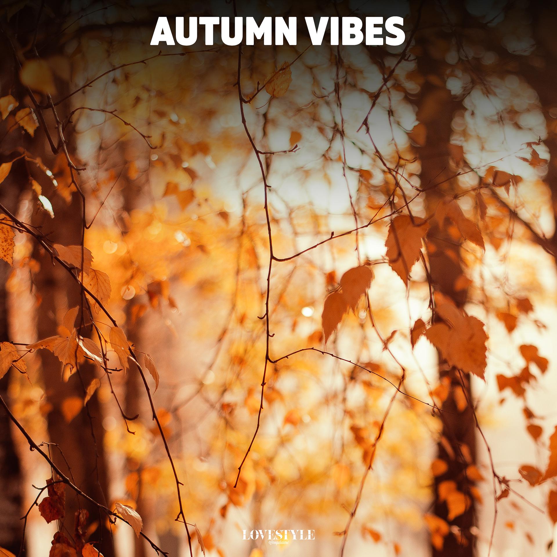 Постер альбома Autumn Vibes