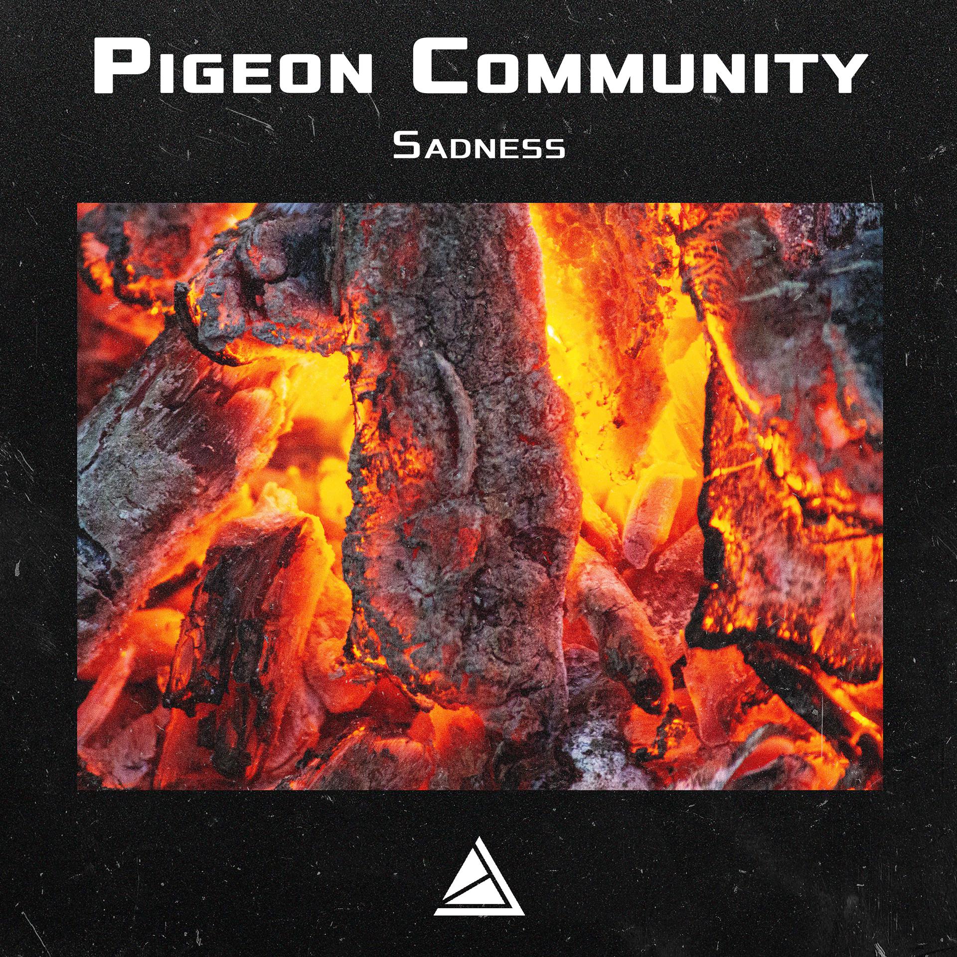 Постер к треку Pigeon Community - Sadness