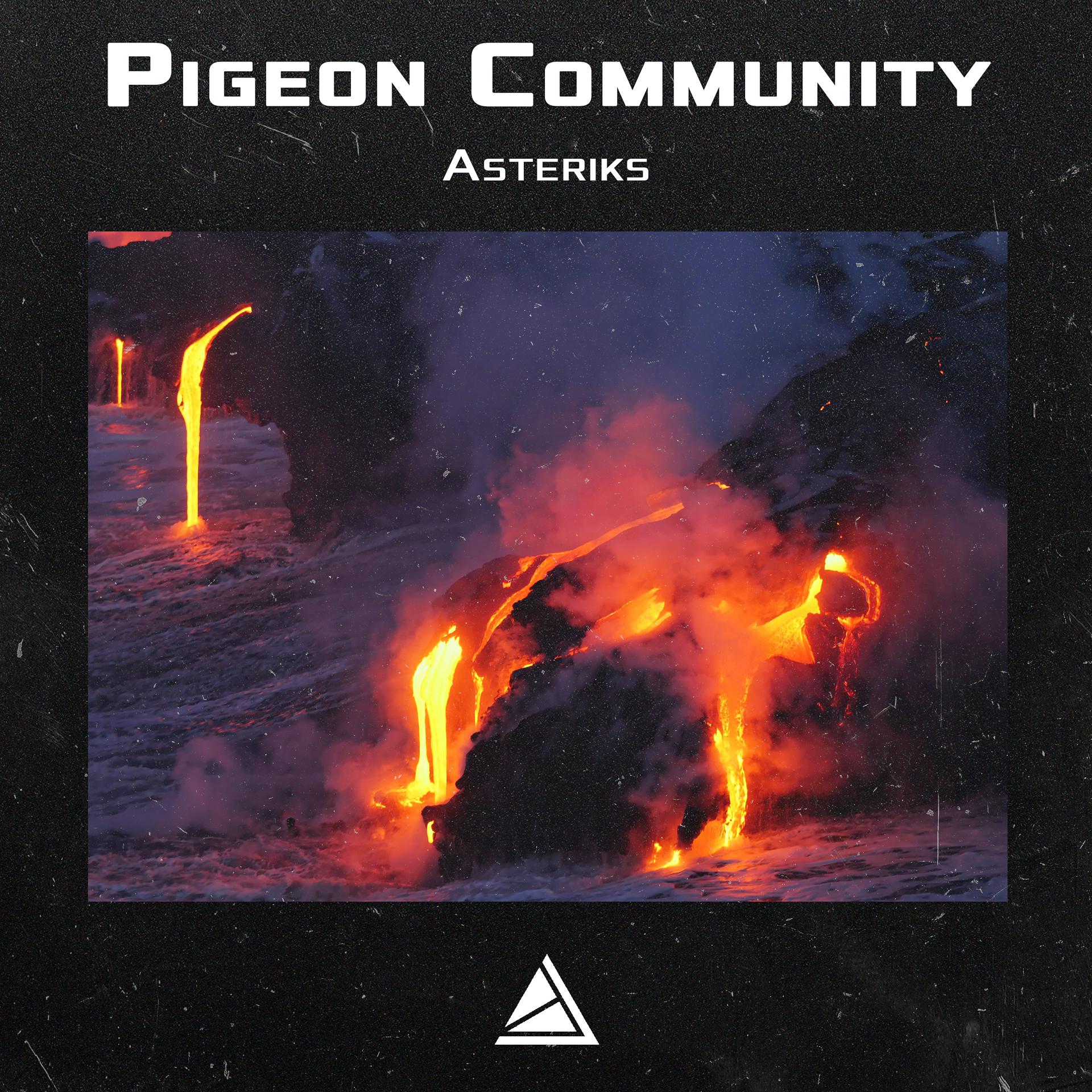 Постер к треку Pigeon Community - Rocky History