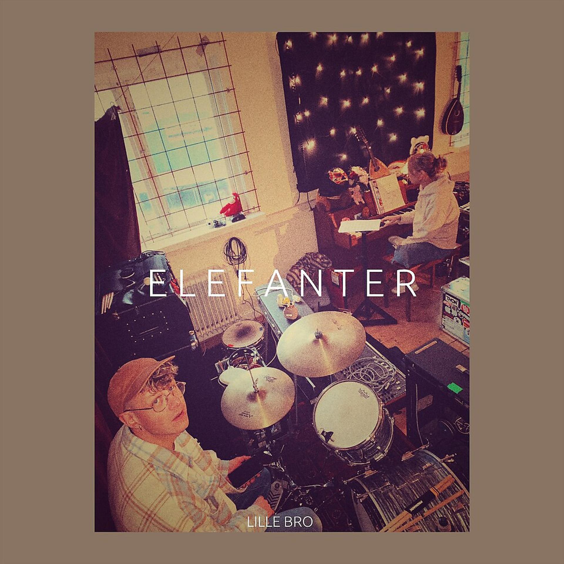 Постер альбома Elefanter