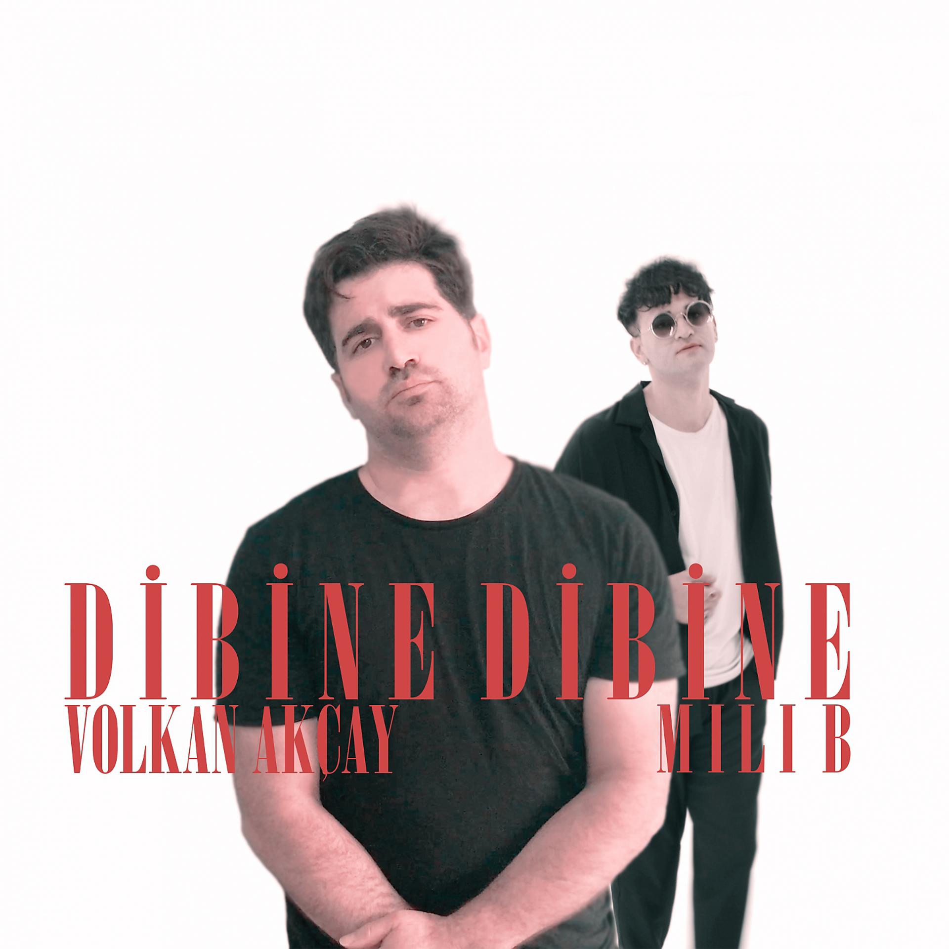 Постер альбома Dibine Dibine