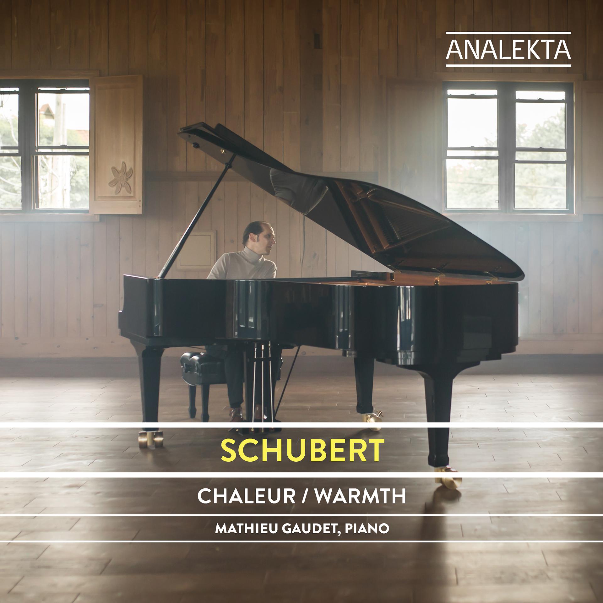 Постер альбома Schubert: The Complete Sonatas and Major Piano Works, Vol. 5 – Warmth
