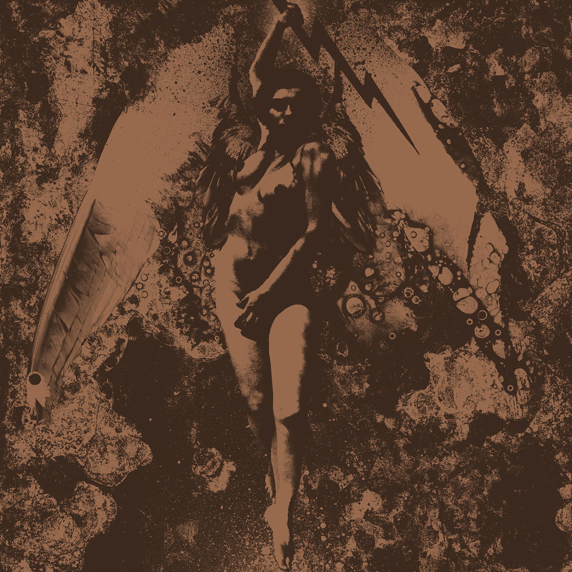 Постер альбома Converge / Napalm Death Split