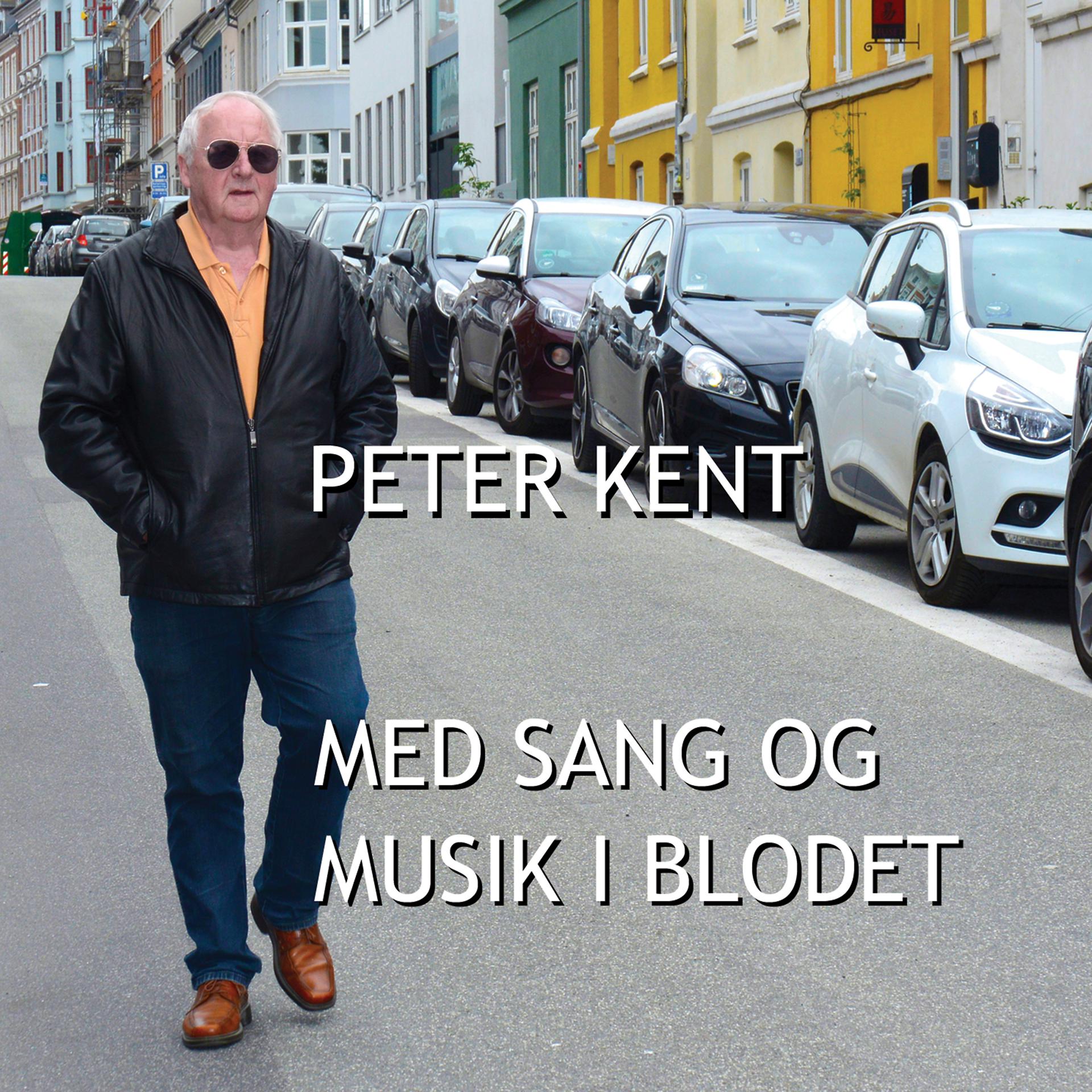Постер альбома Med sang og musik i blodet