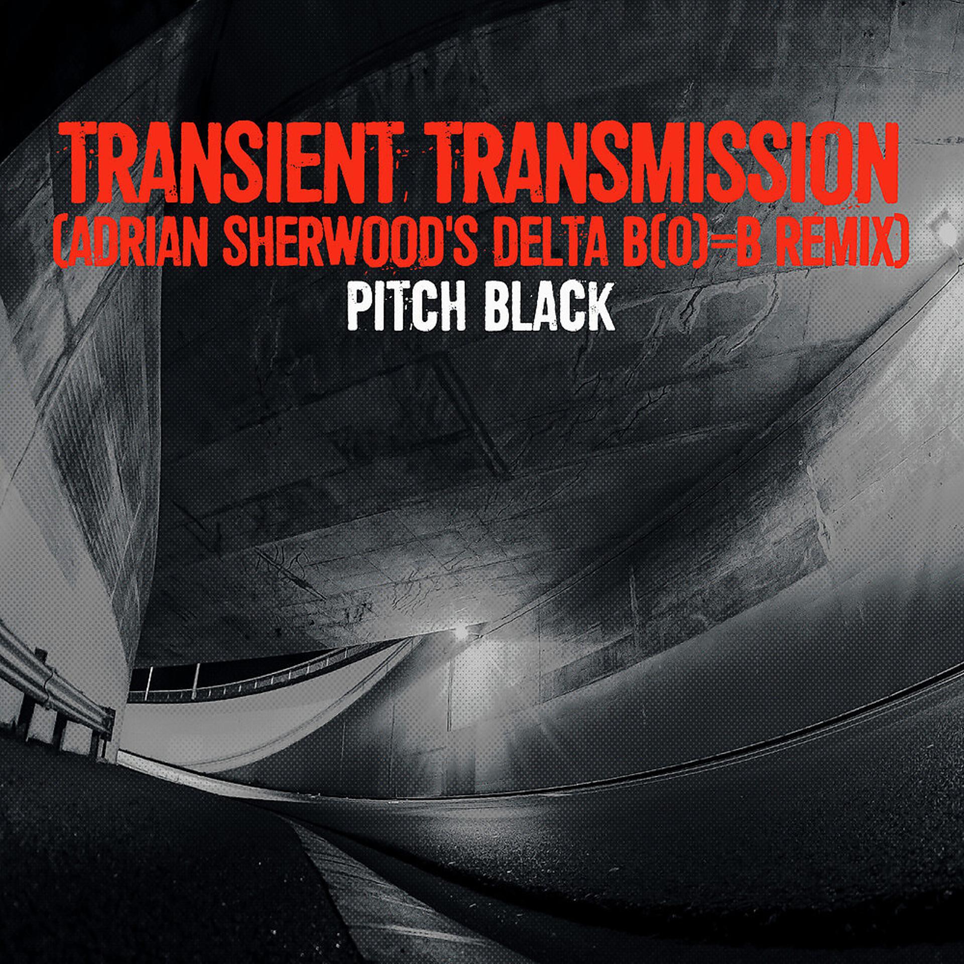 Постер альбома Transient Transmission