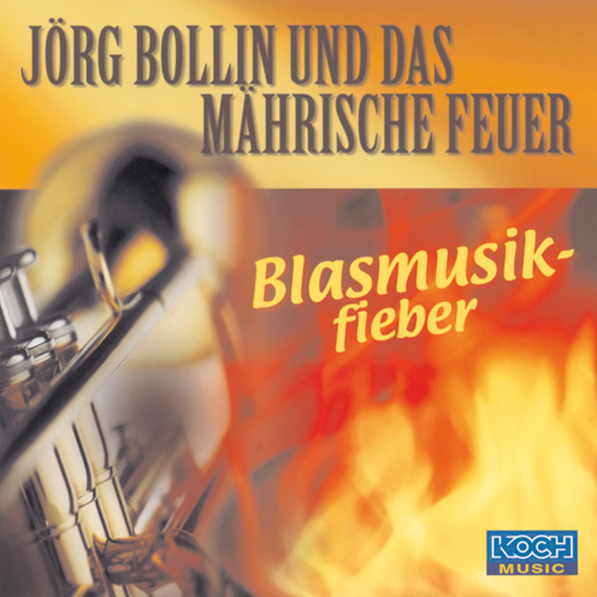 Постер альбома Blasmusikfieber