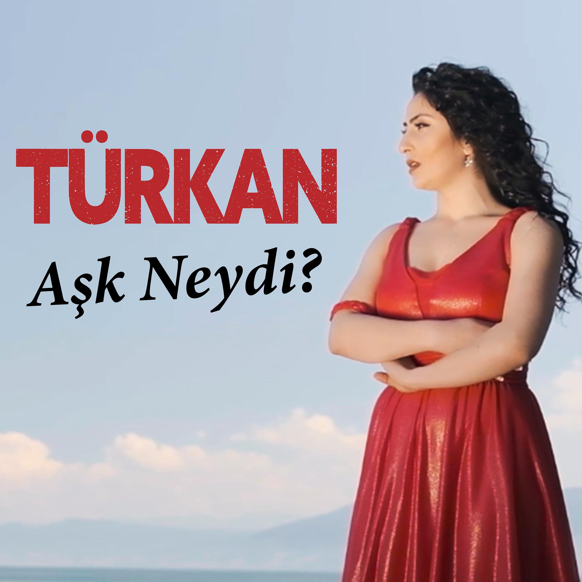 Постер альбома Aşk Neydi