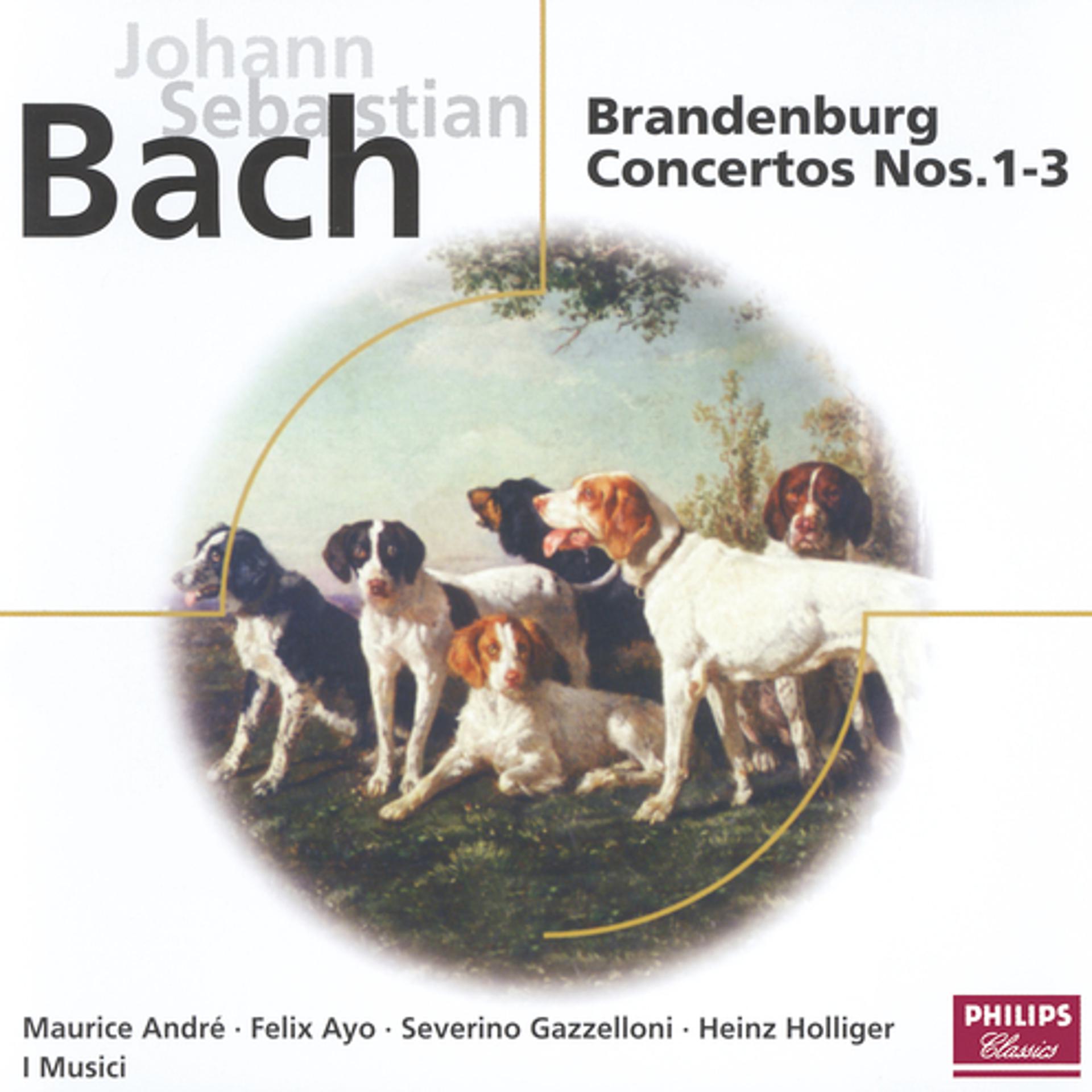 Постер альбома Bach, J.S.: Brandenburg Concertos Nos.1-3; Suite No.2 in B minor