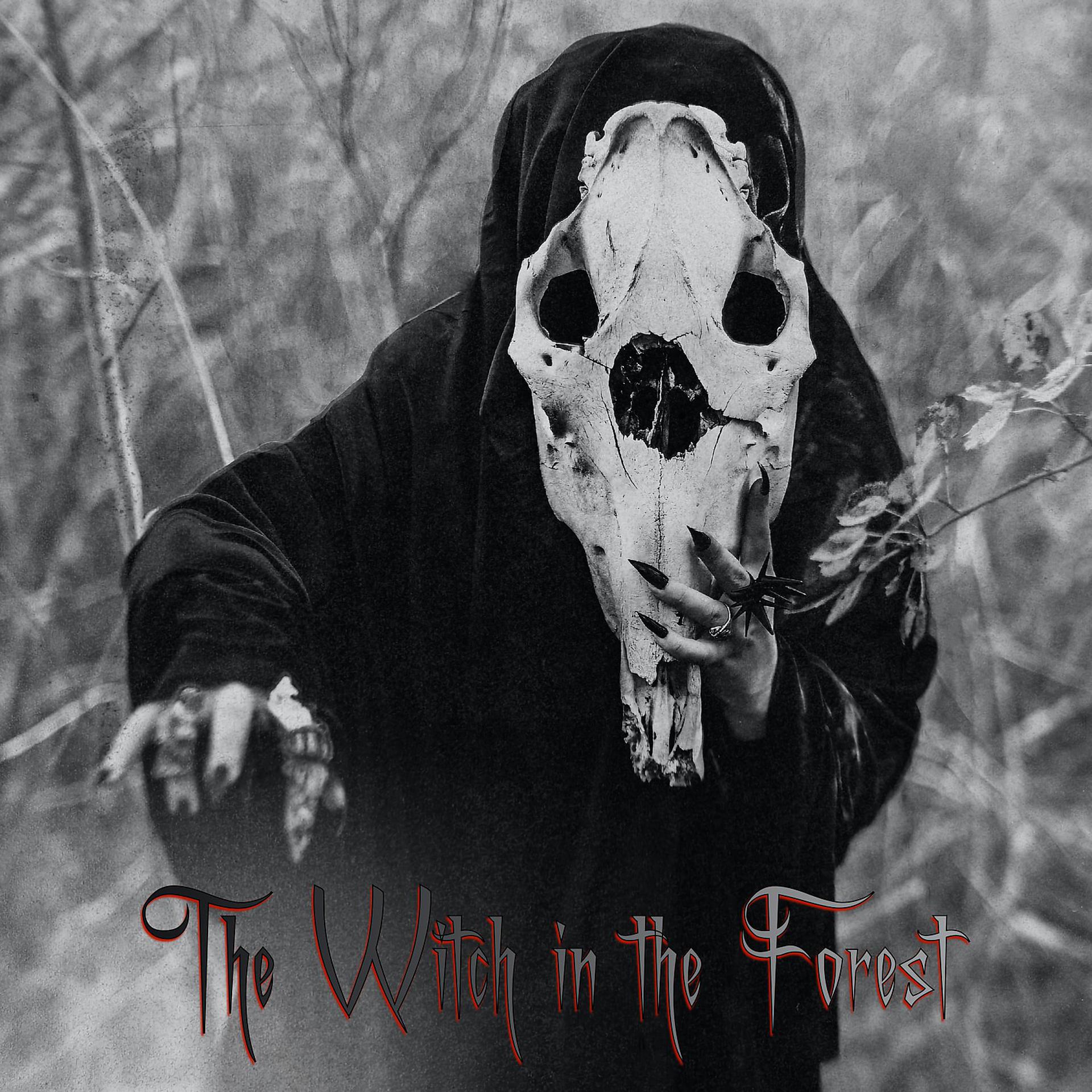 Постер альбома The Witch in the Forest
