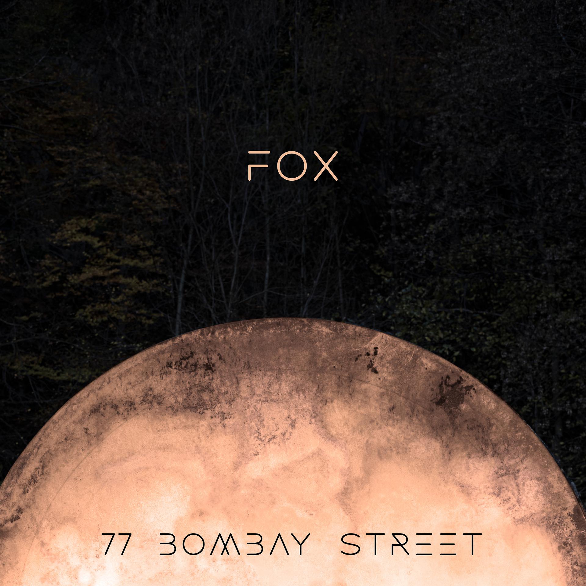 Постер альбома Fox