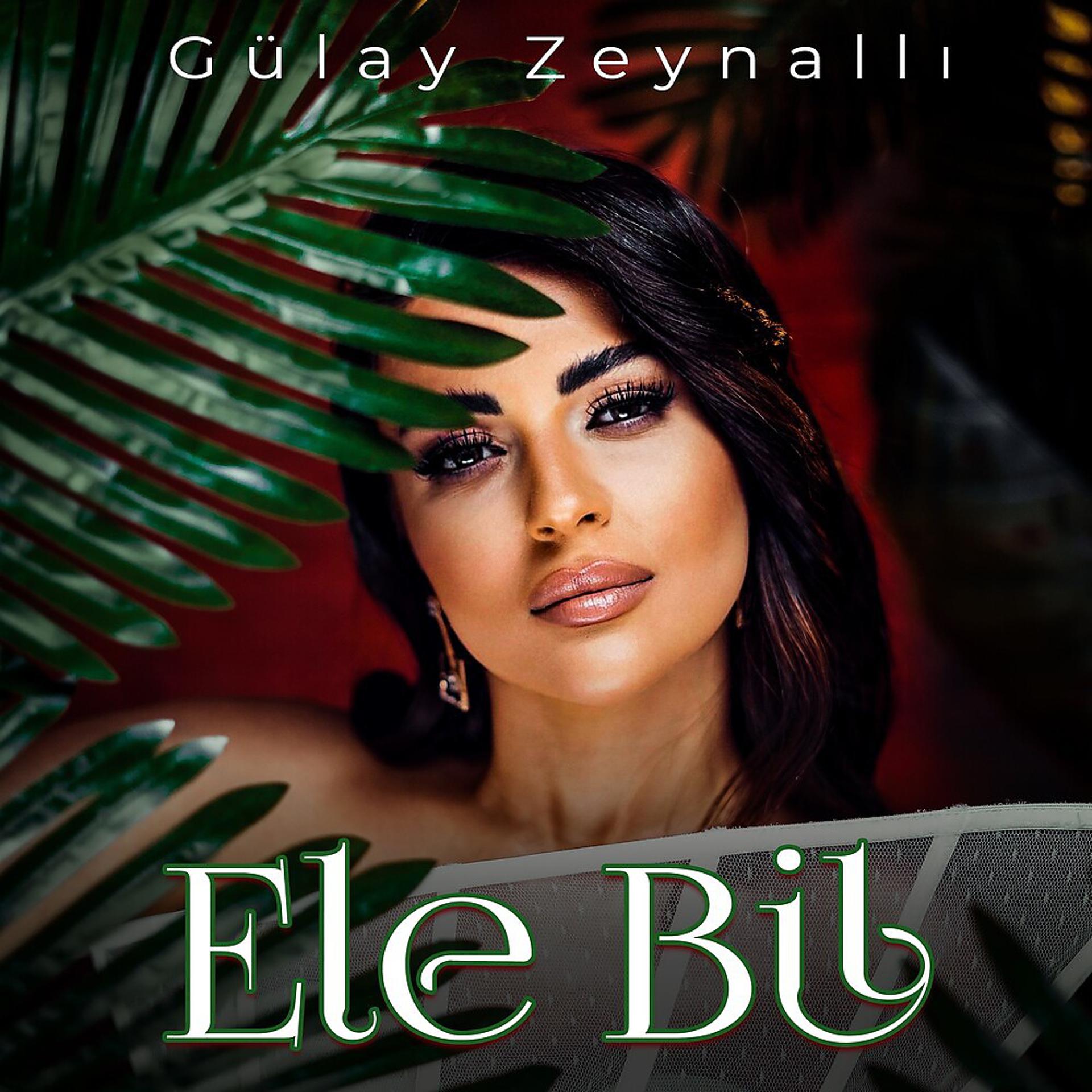Постер альбома Ele Bil