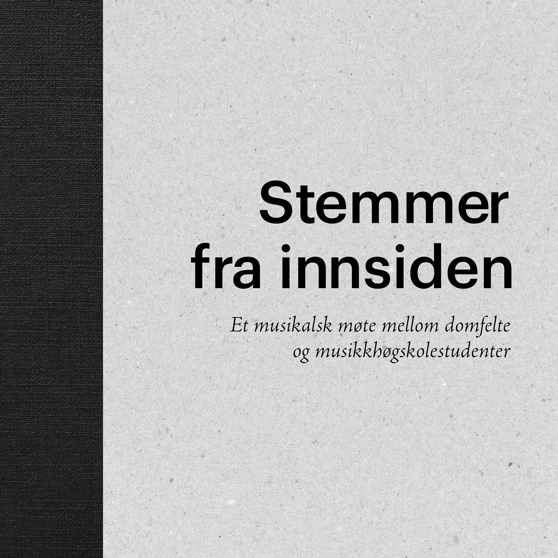 Постер альбома Stemmer fra innsiden