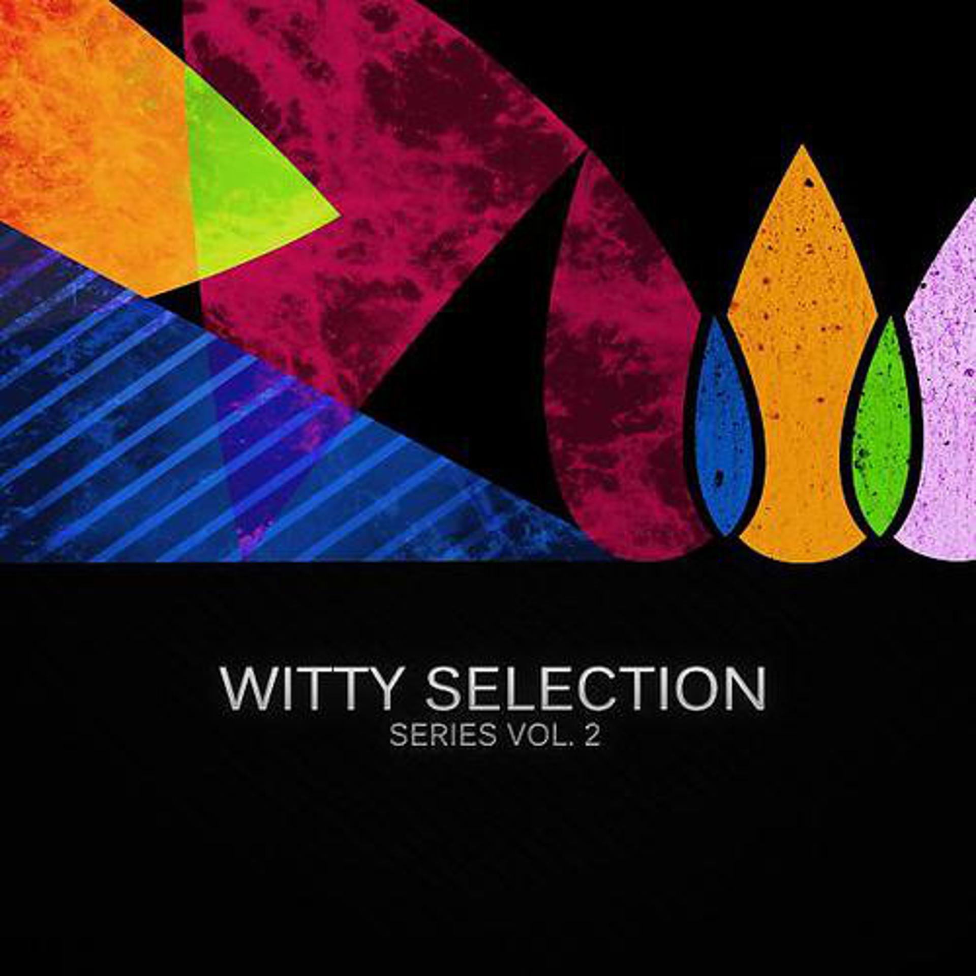 Постер альбома Witty Selection Series Vol. 2