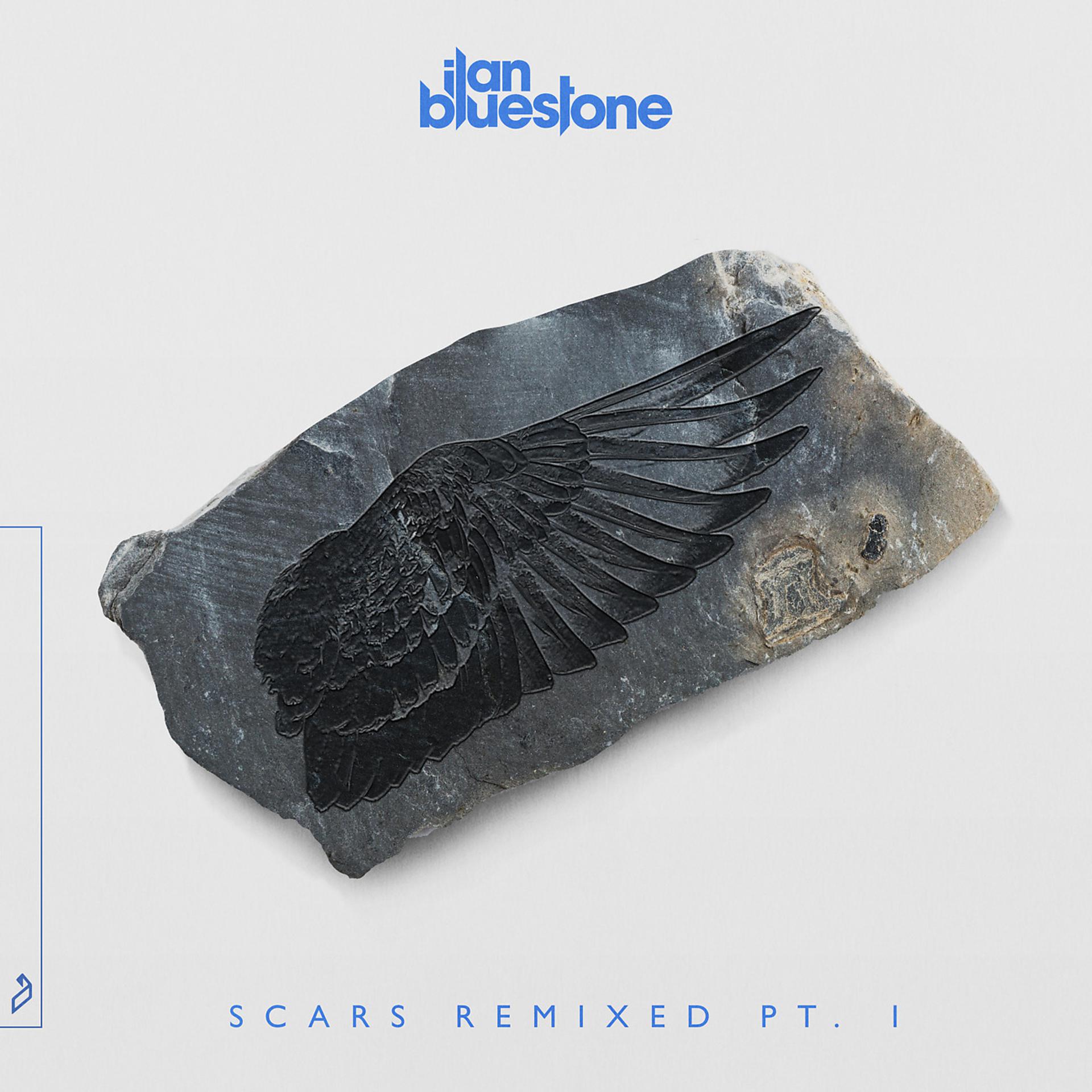 Постер альбома Scars (Remixed) pt. 1