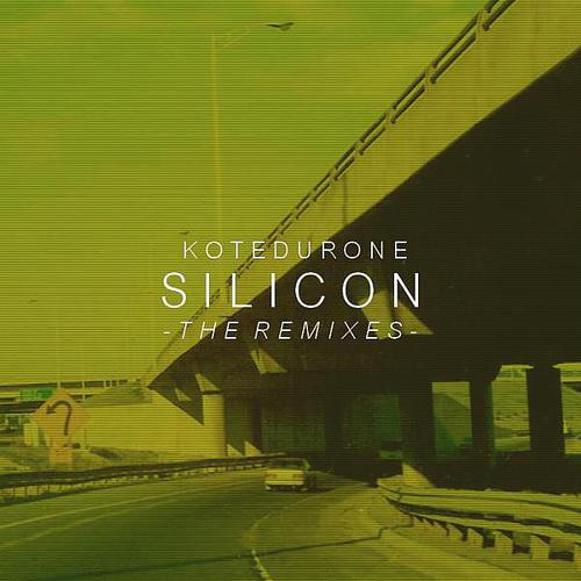 Постер альбома Silicon Remixes