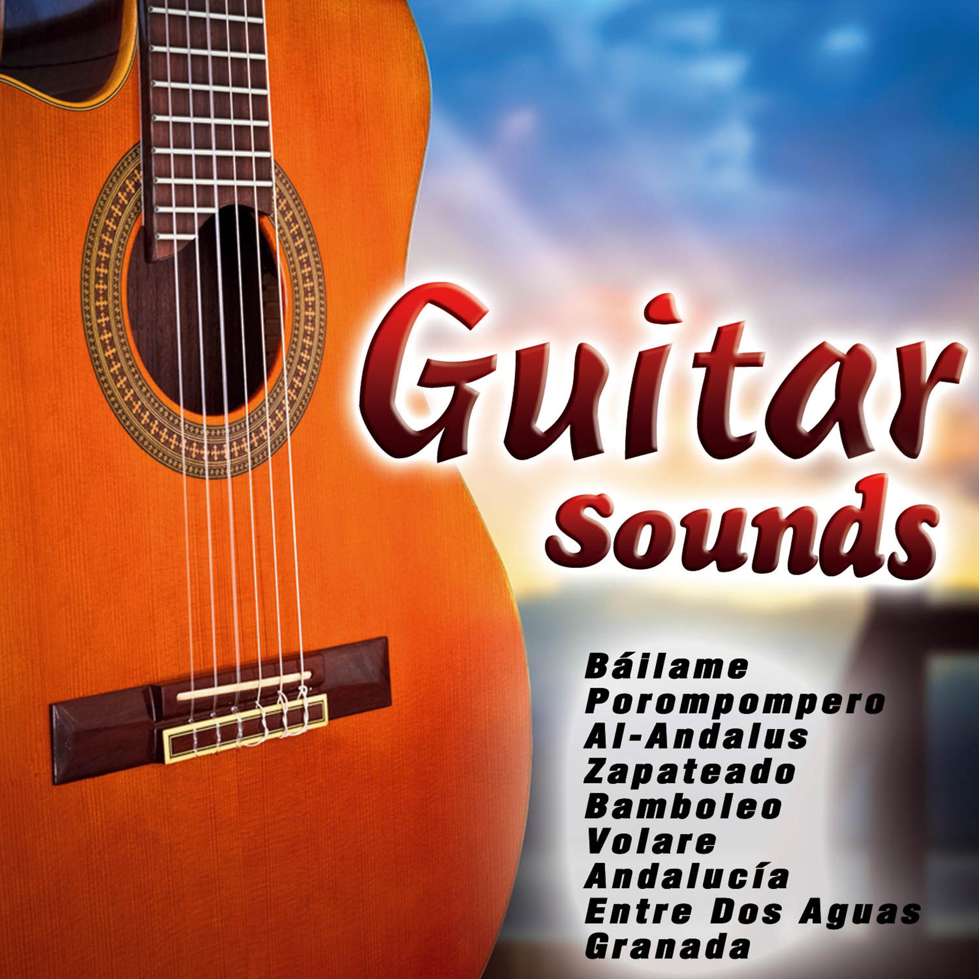 Постер альбома Guitar Sounds