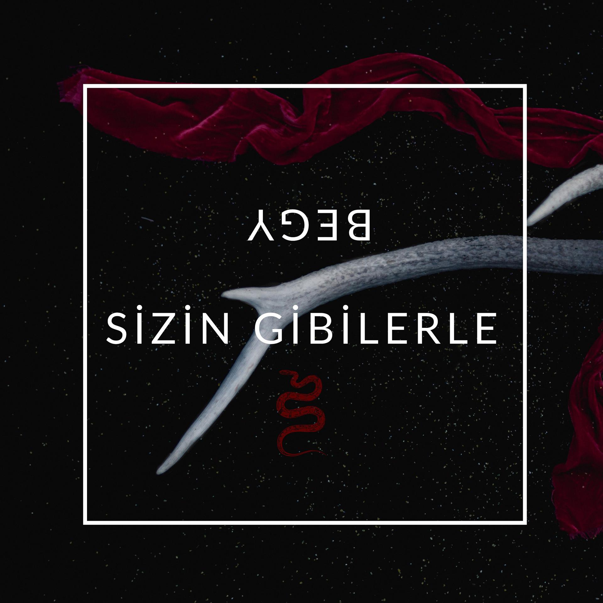 Постер альбома Sizin Gibilerle